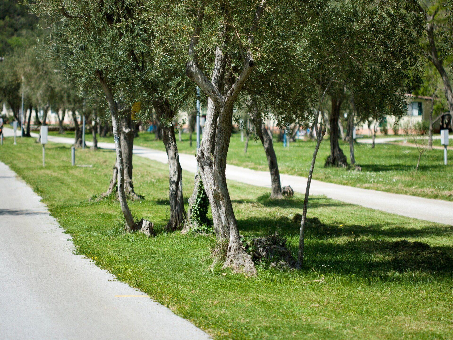 PREMIUM mobile home voor 4 personen op Camping Oliva, 50m van zee in Rabac - foto 19