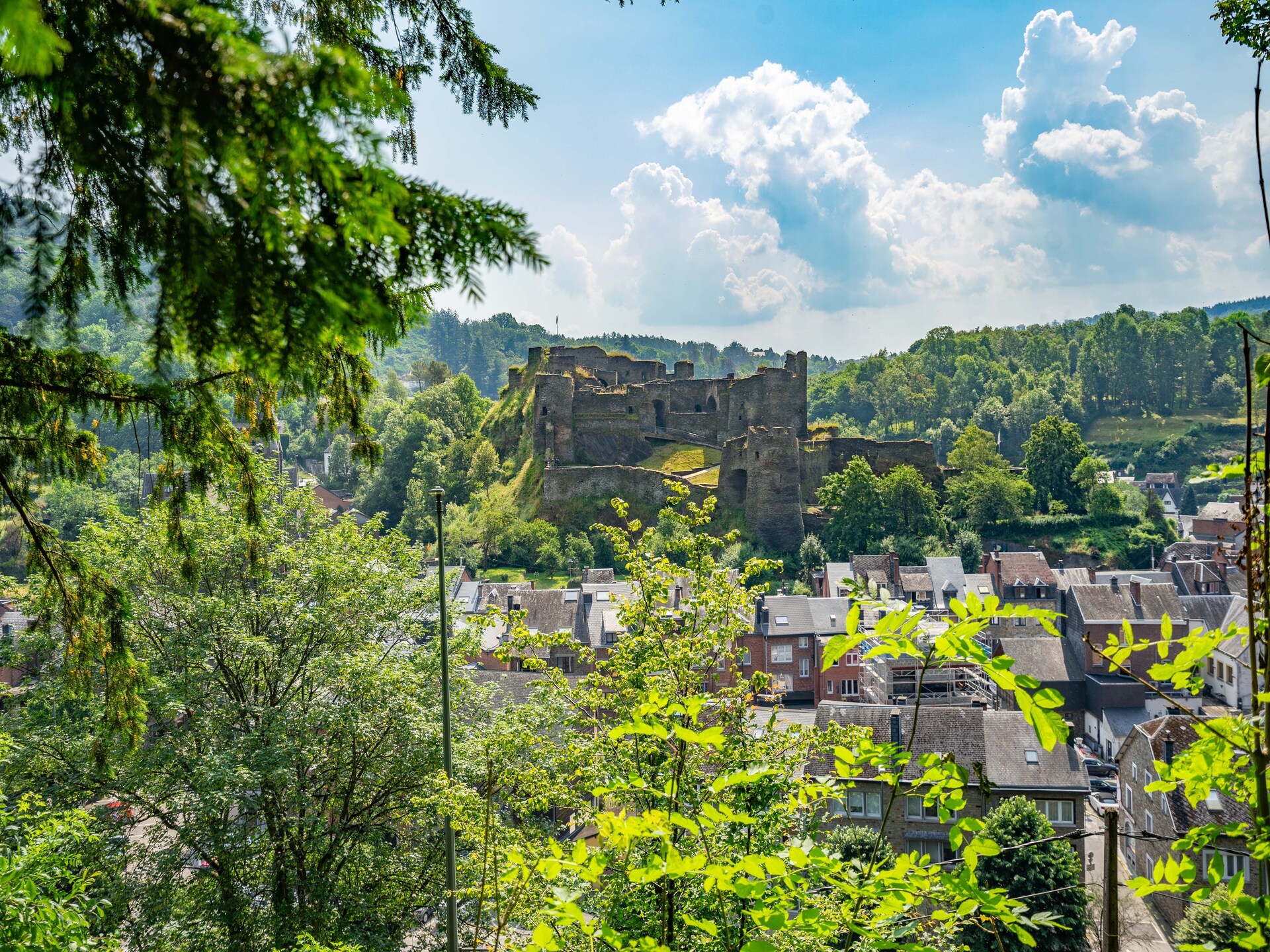Kasteel in het centrum van La Roche-en-Ardenne voor 12 personen - foto 37