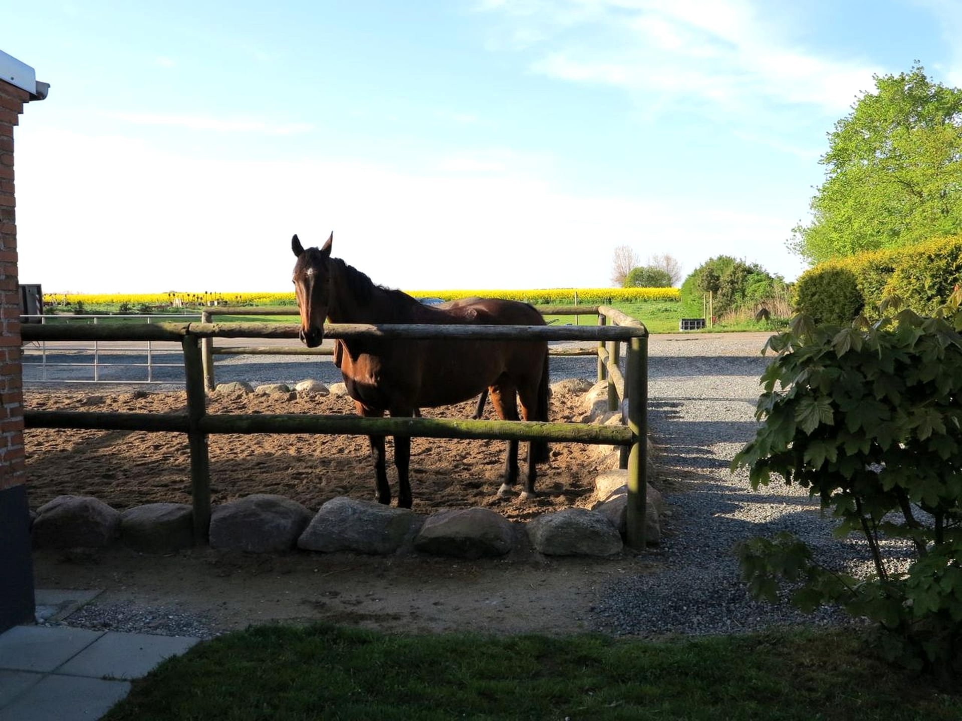 Bauernhaus Premium - foto 28