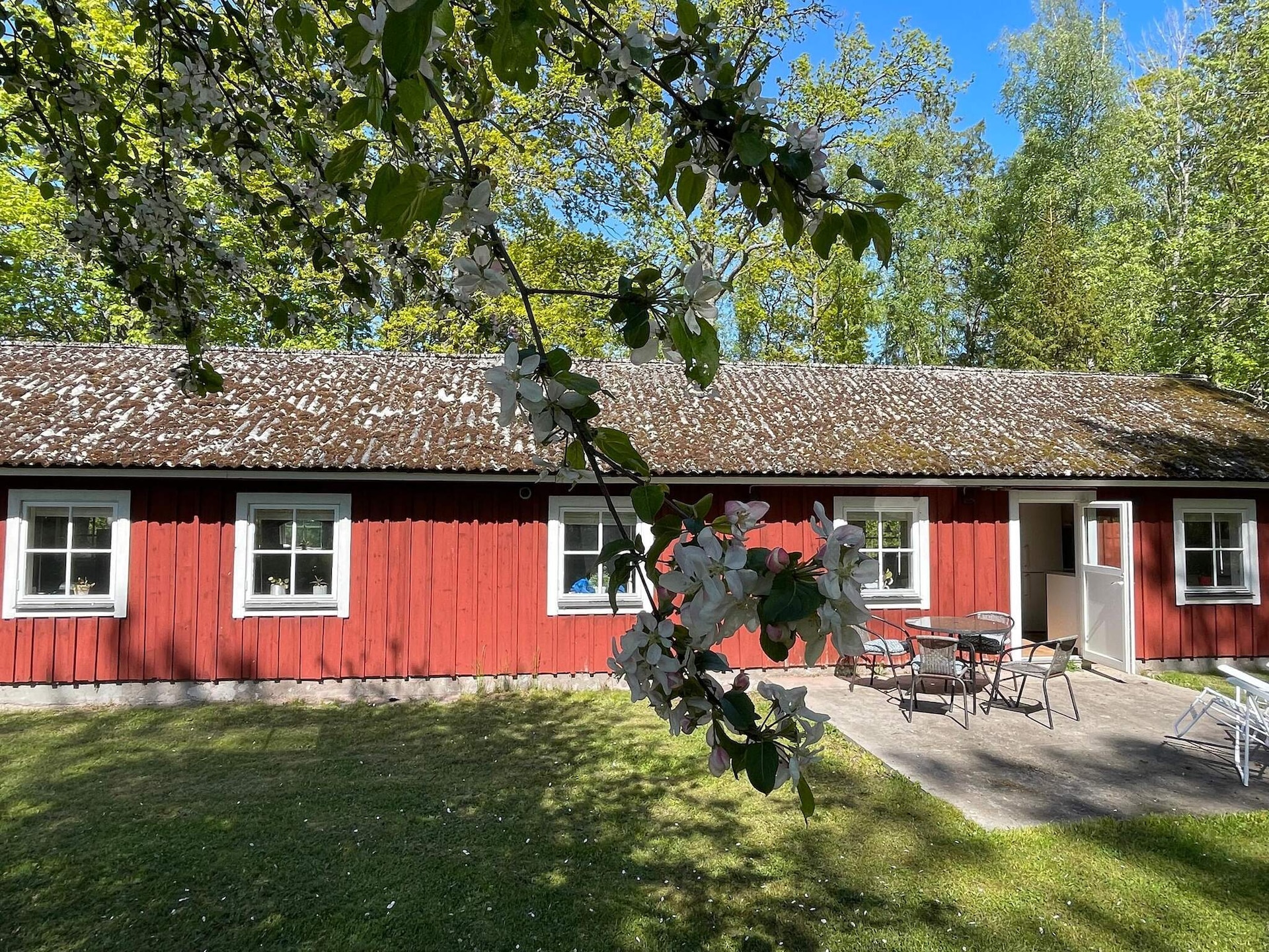6-persoons vakantiehuis in Rockneby op 450 m van de zee - foto 6