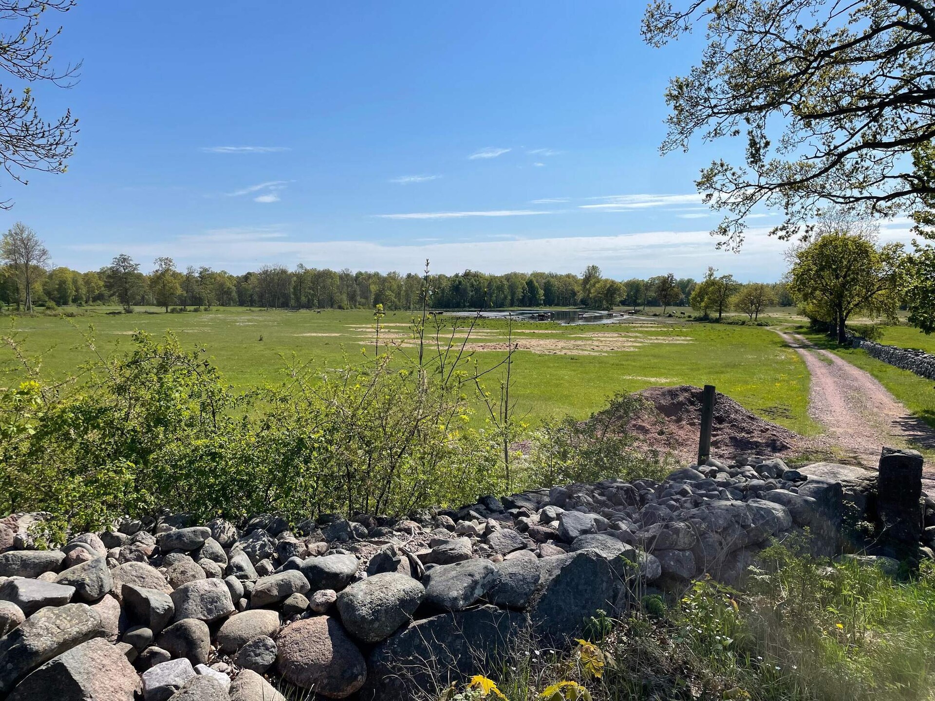 6-persoons vakantiehuis in Rockneby op 450 m van de zee - foto 17