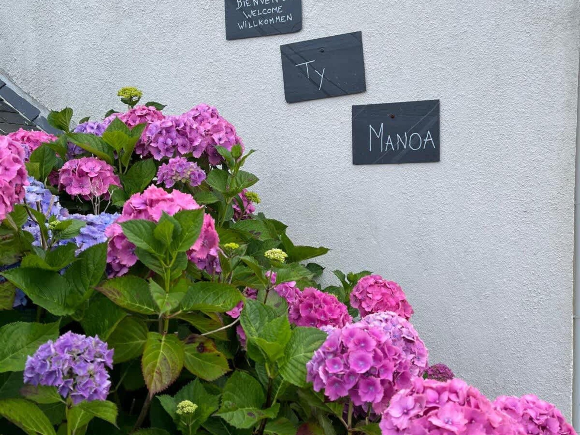 Knus vakantiehuis Ty Manoa in Landéda voor 4 personen - foto 36