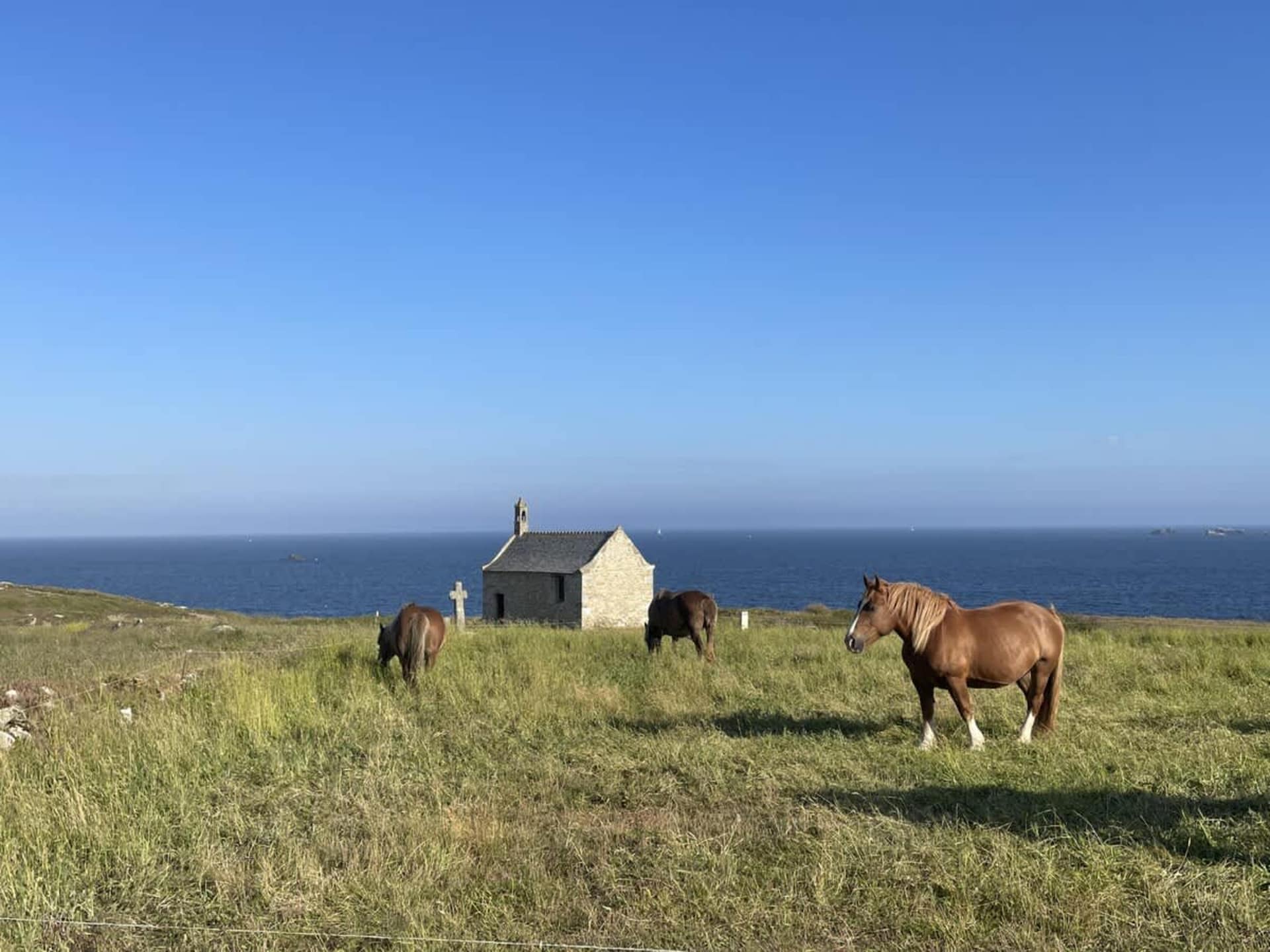 Vakantiehuis op 1,1 km van het strand in Landéda voor 8 personen - foto 21