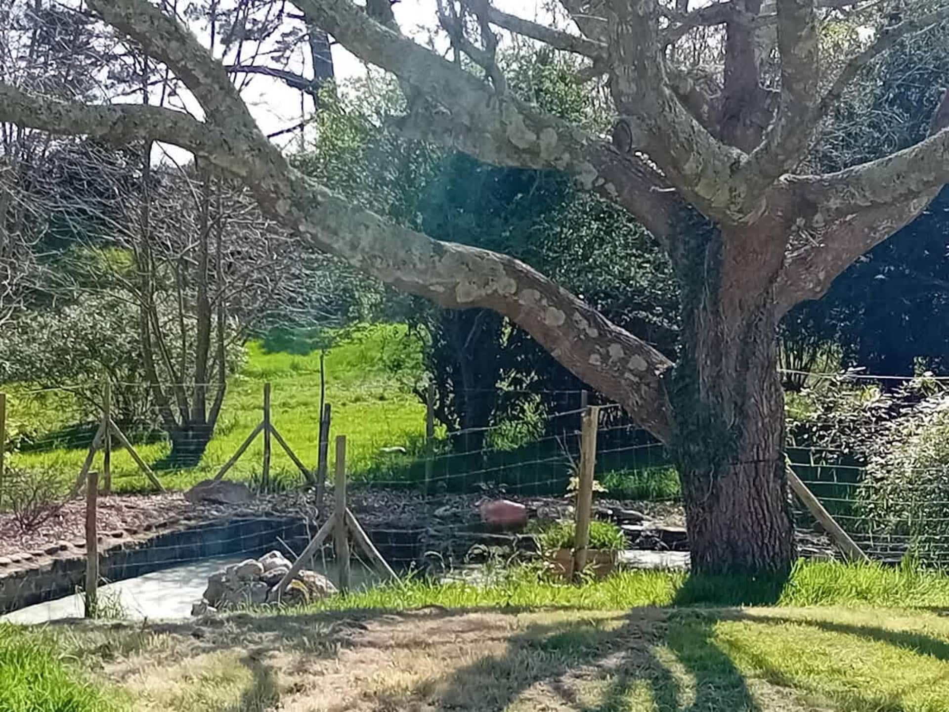 Ruim vakantiehuis Ker Izel in Le Conquet voor 12 personen - foto 28