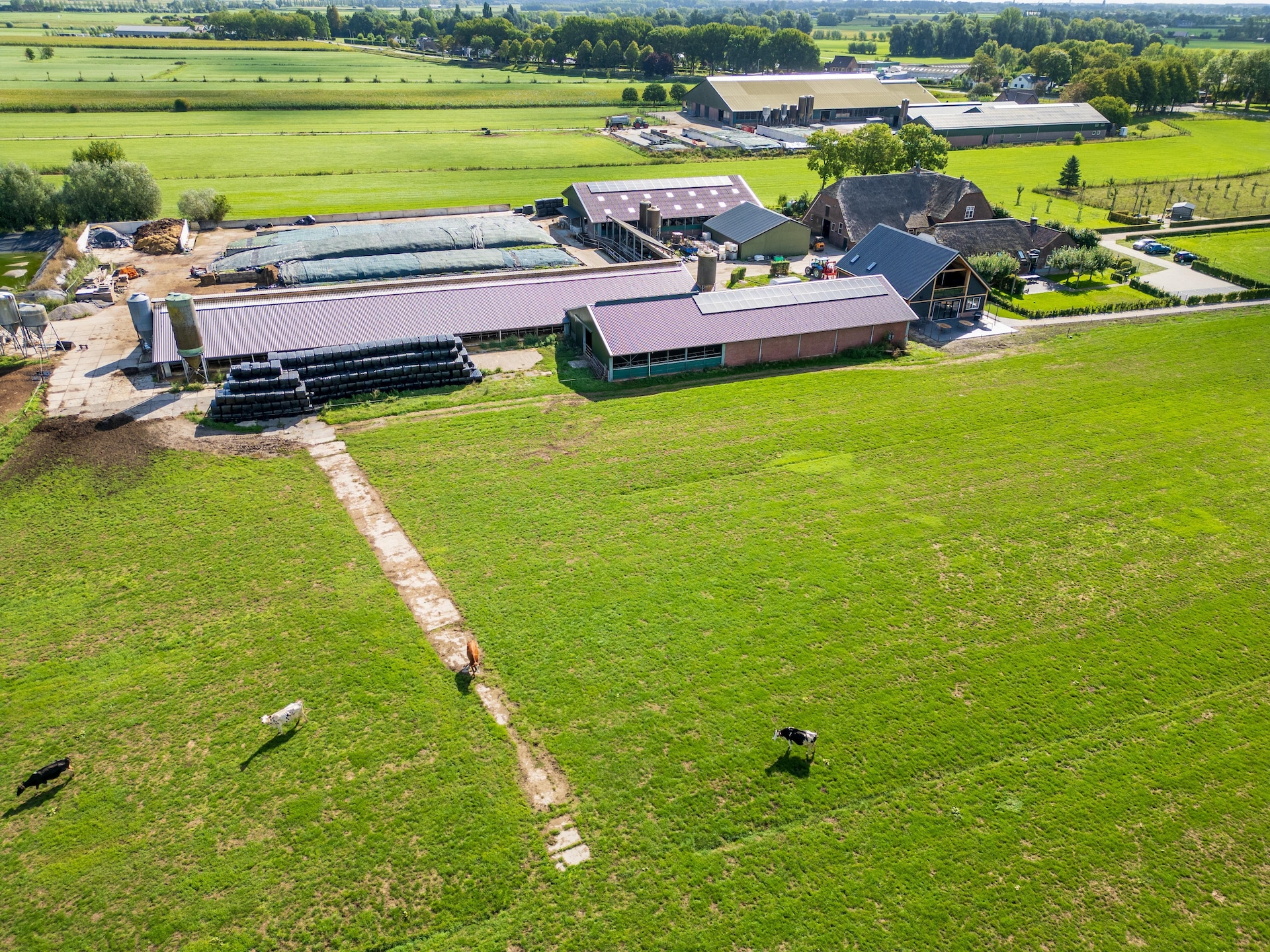 The New Barn - foto 42
