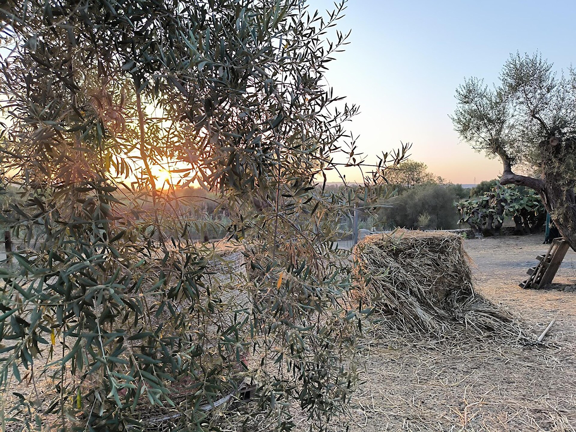 6-persoons vakantiehuis met privézwembad in Siracusa · 105 m² - foto 32