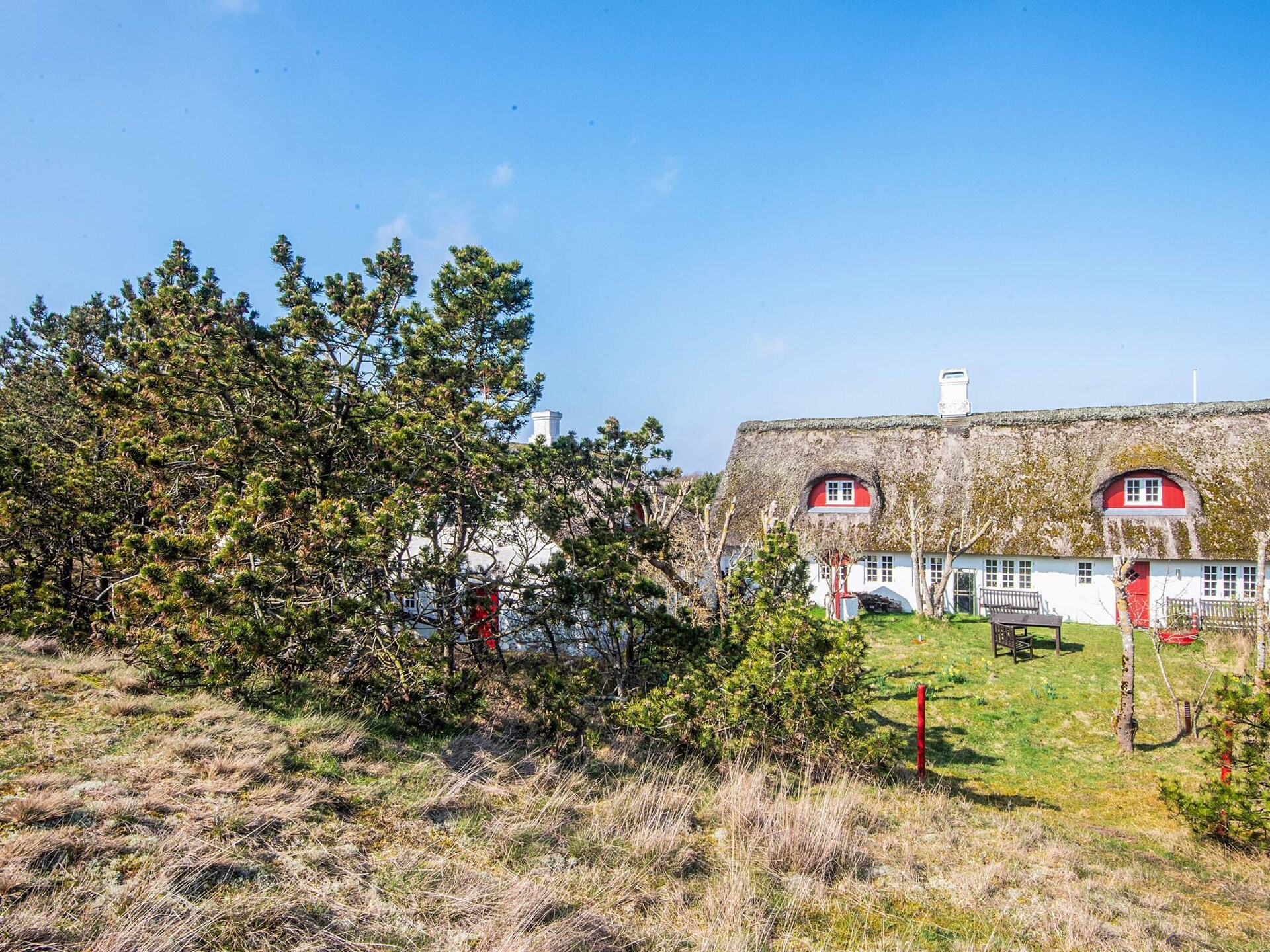 Op 550 m van zee: luxe vakantiehuis voor 7 personen op Fanø - foto 2