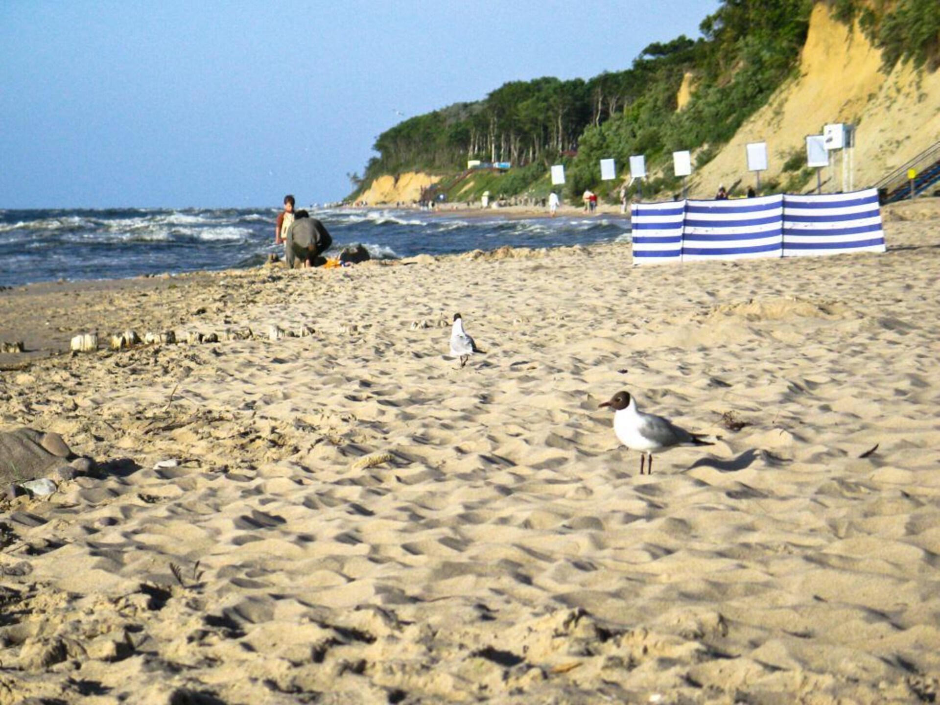 Vakantiehuis met zwembad op 200 meter van strand Rewal - foto 28