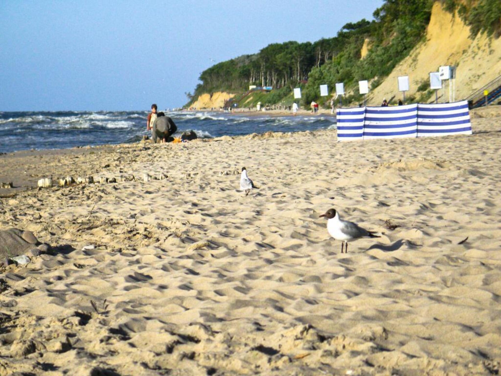 Aan zee: Comfortabel vakantiehuis in Rewal met zwembad · 2 slk - foto 27