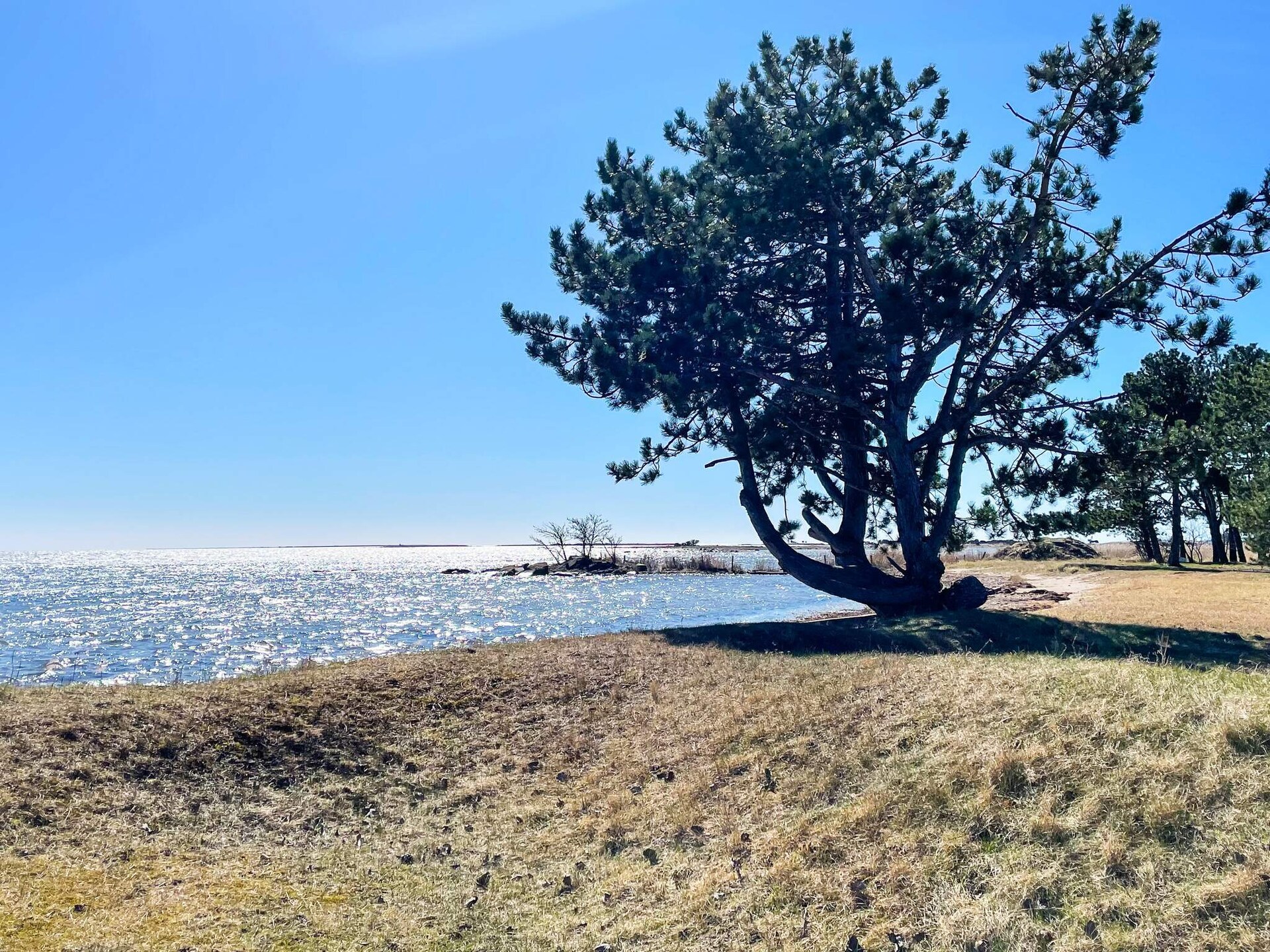 Nieuw vakantiehuis (2024) op Gotland, vlakbij zee en golfbaan - foto 9