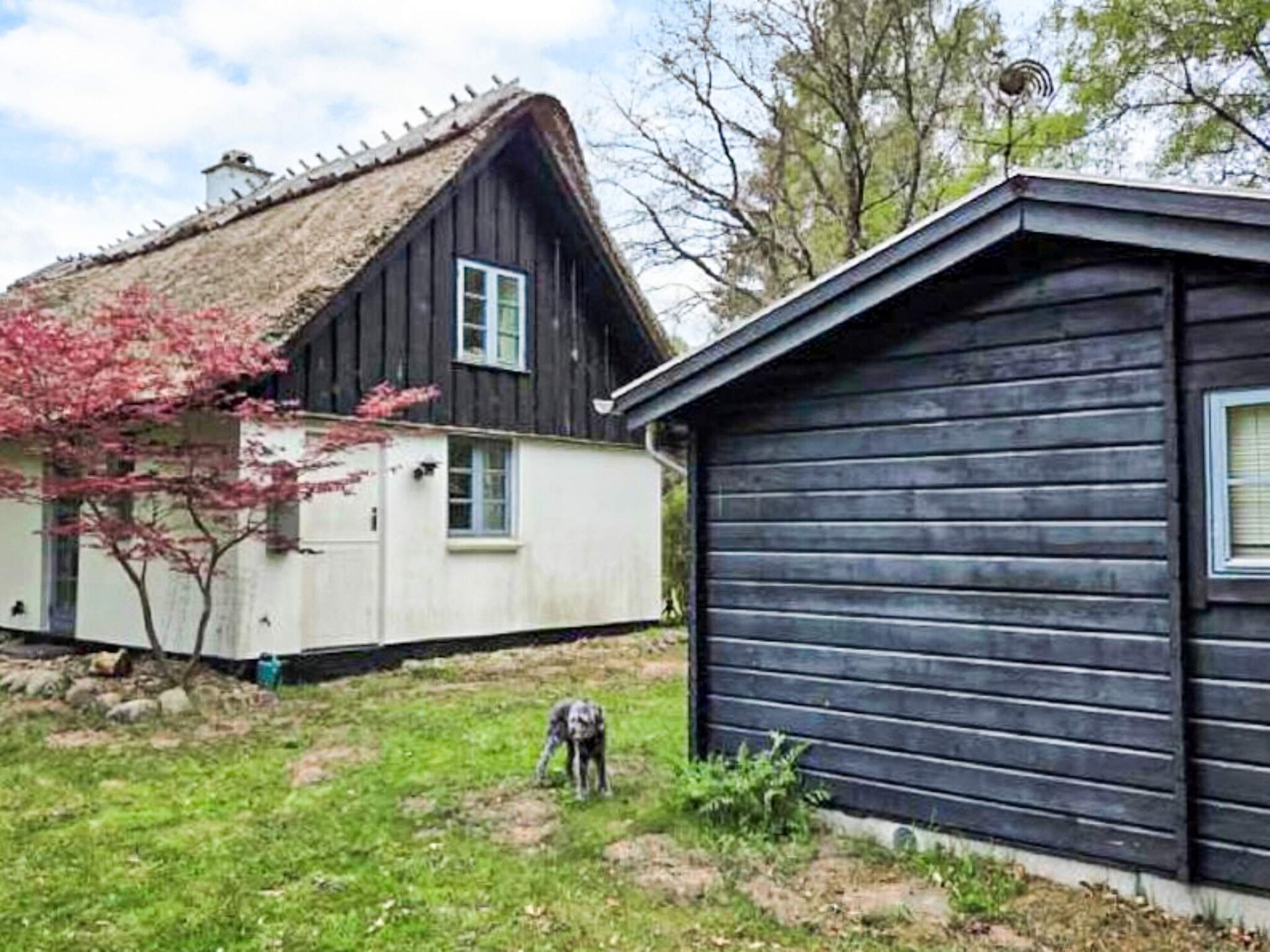 Sfeervol rietgedekt vakantiehuis voor 6 personen in Frederiksværk - foto 29