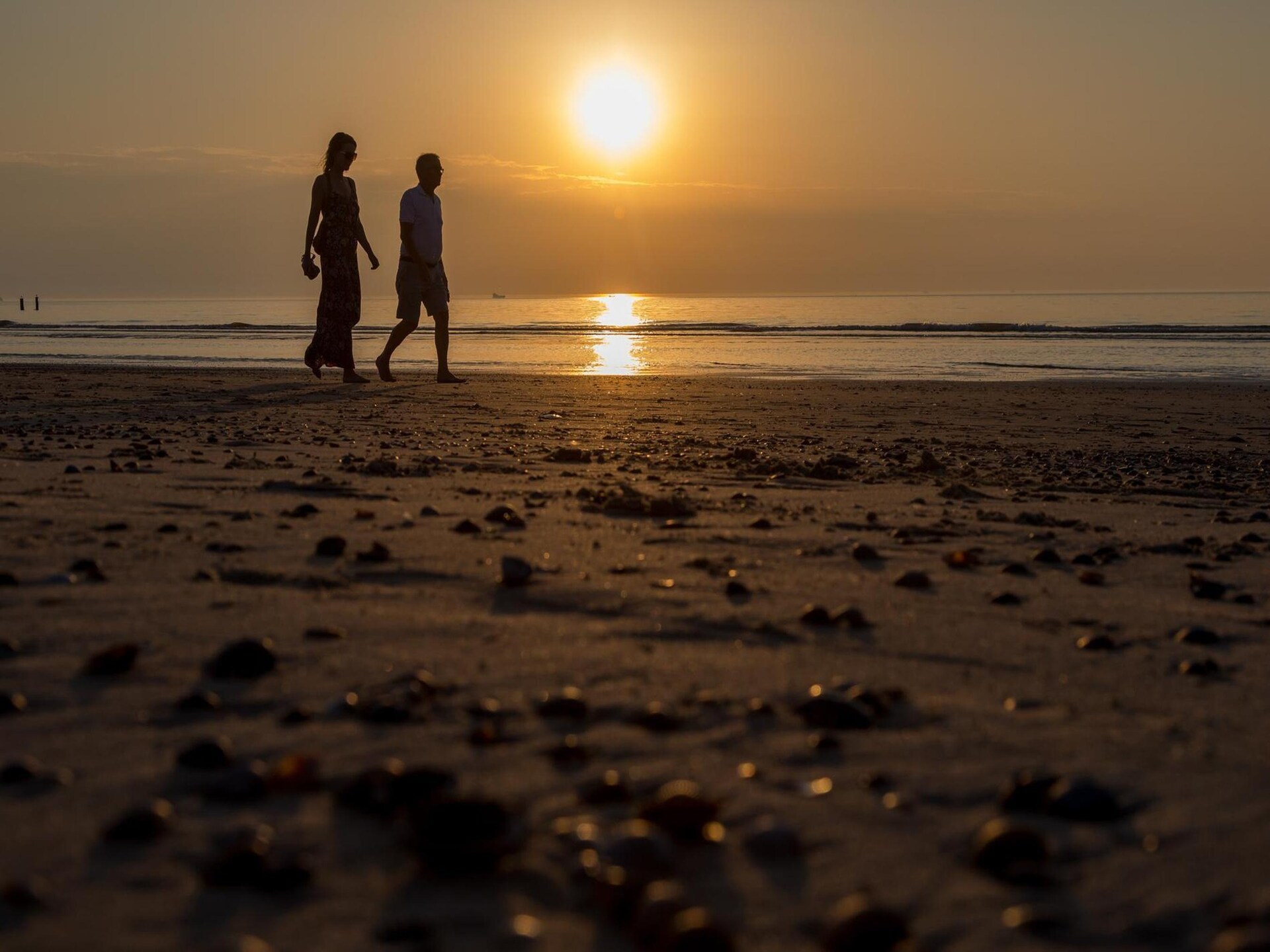 Strandhuisje Dishoek: slapen met zeezicht en directe strandtoegang - foto 4