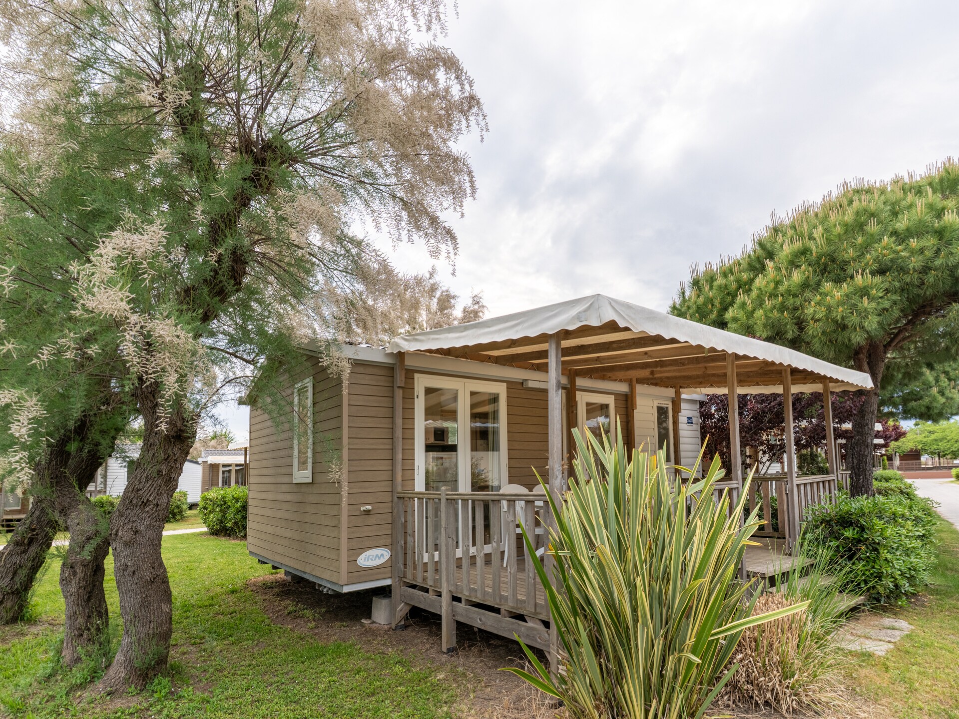 Lodge Deluxe aan de Adriatische kust, 50 meter van het strand in Lido di Pomposa - foto 4