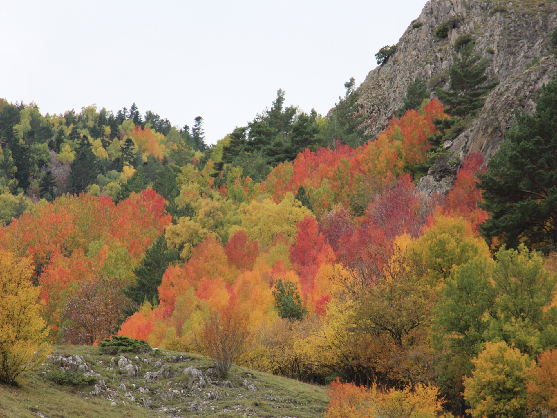 Cobert d'en Piarró - foto 36