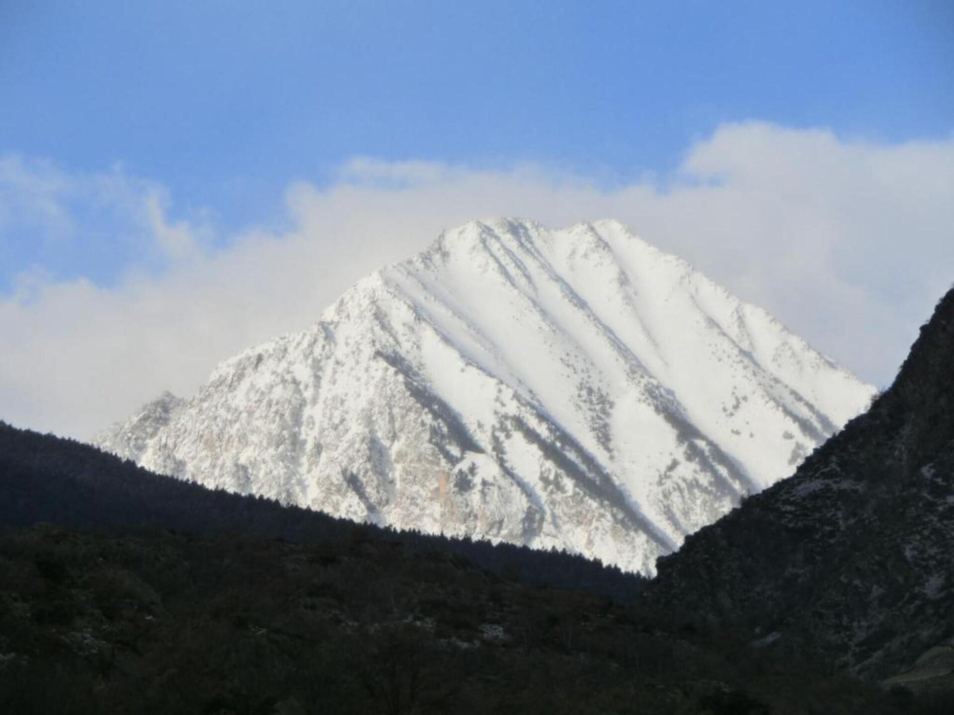 Cobert d'en Piarró - foto 31