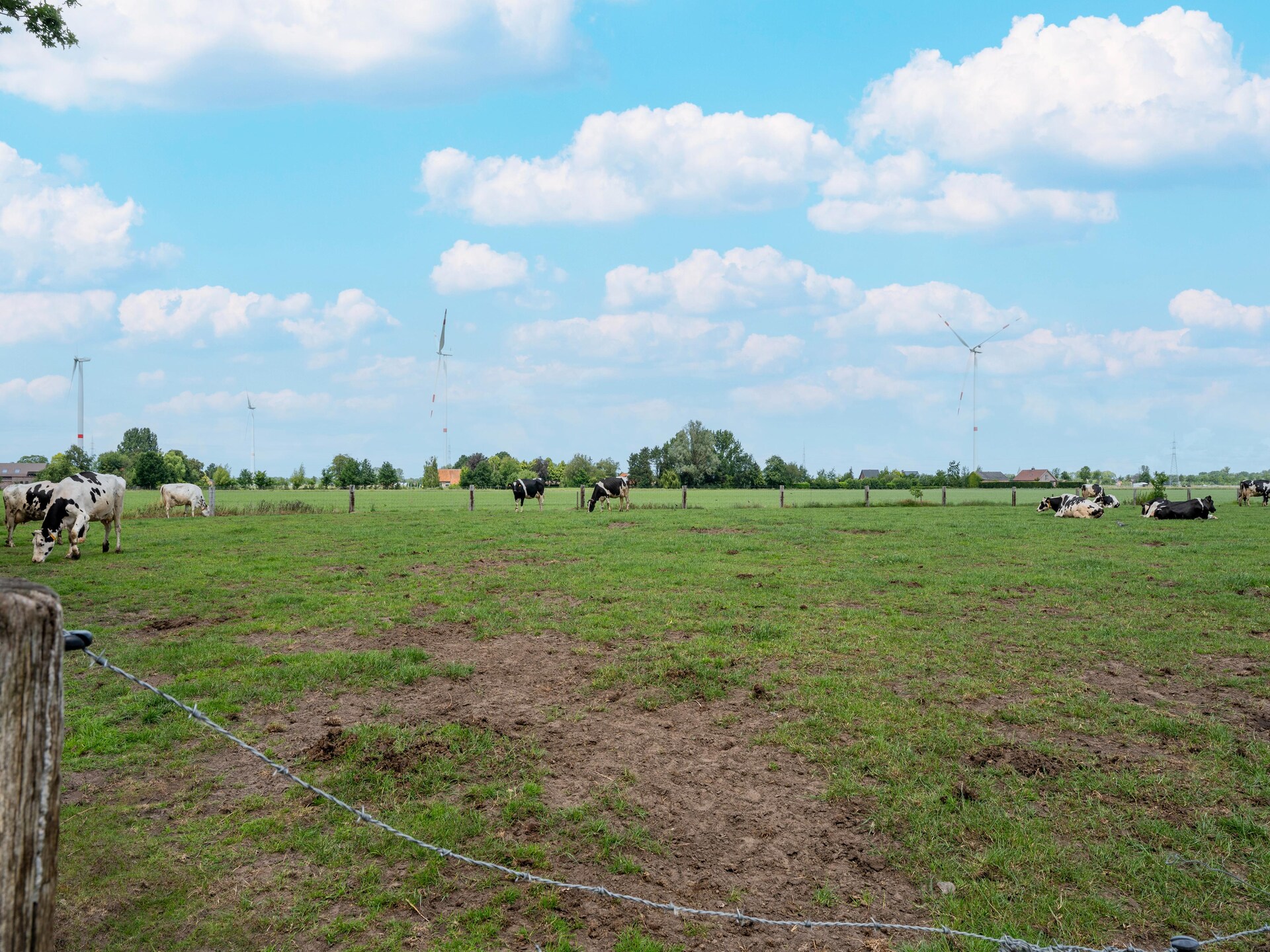 Caravan Bosrand Lembeke 2 - foto 44