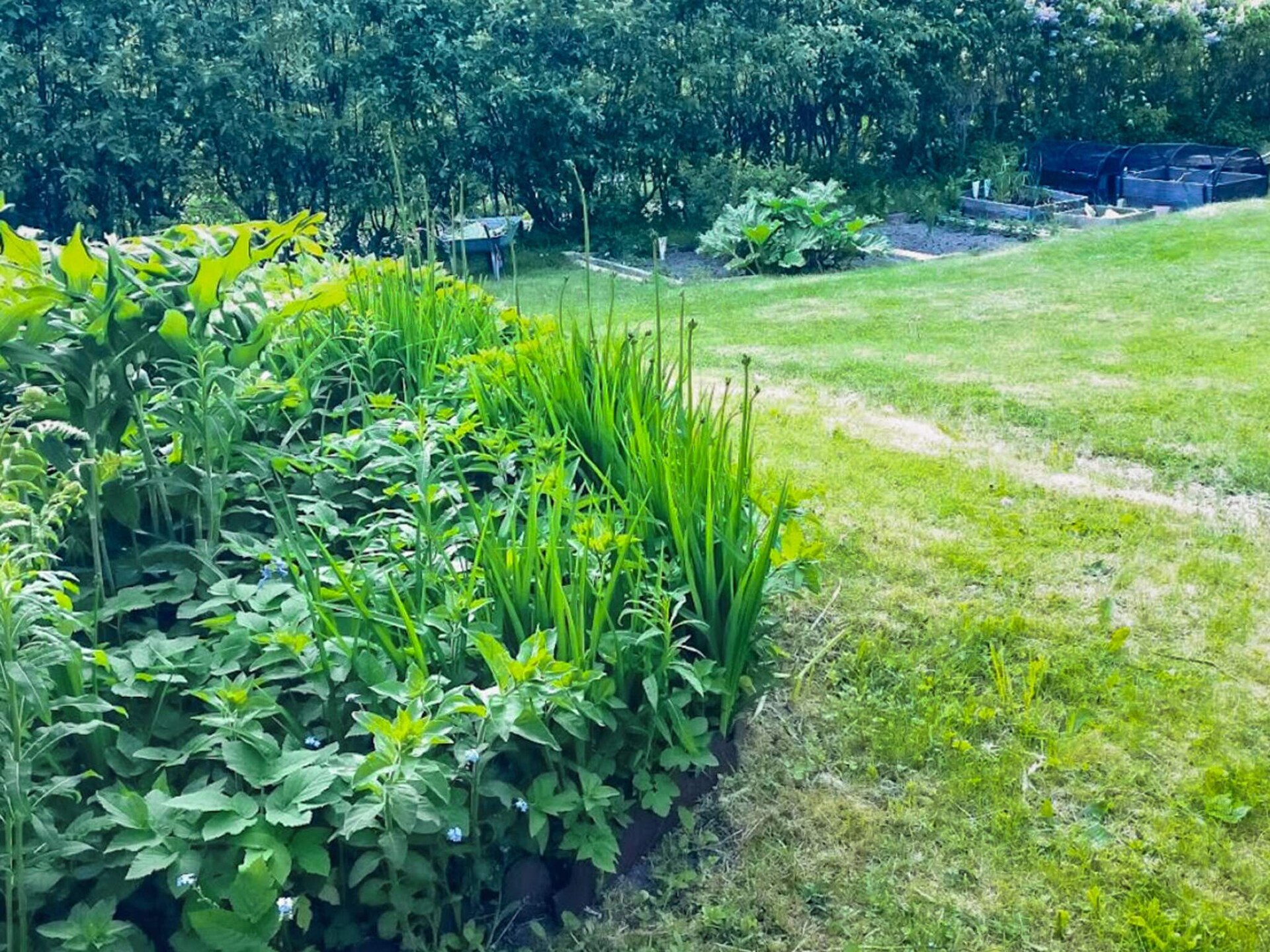 Sfeervol vakantiehuis bij Kärna met spa, balkon en nabij zee - foto 6