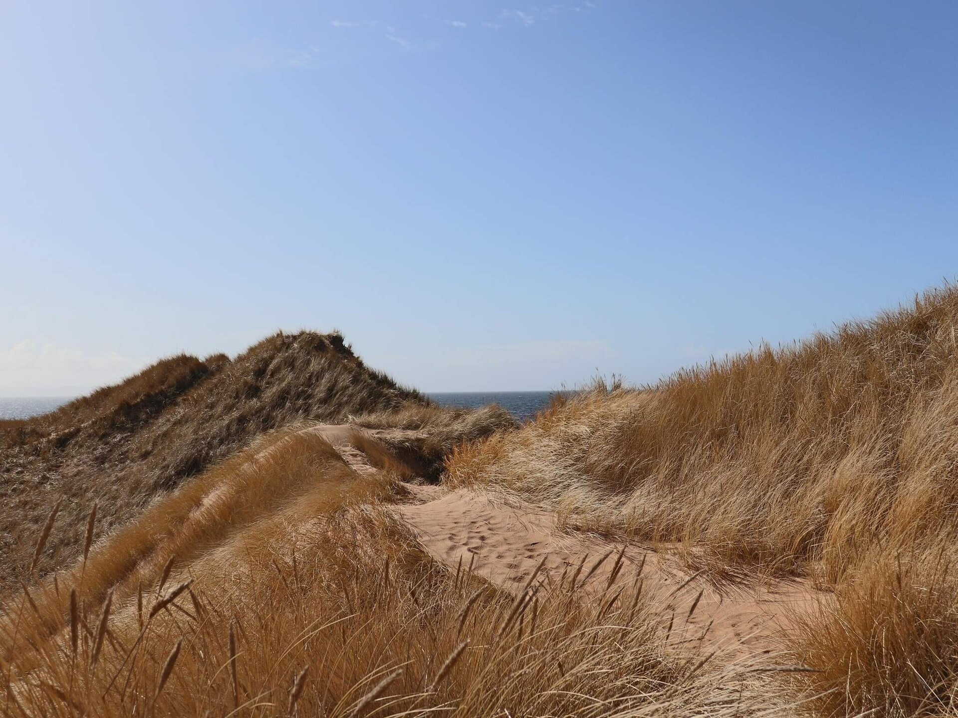 Vrijstaand vakantiehuis aan golfbaan bij Tönnersa natuurreservaat - foto 25
