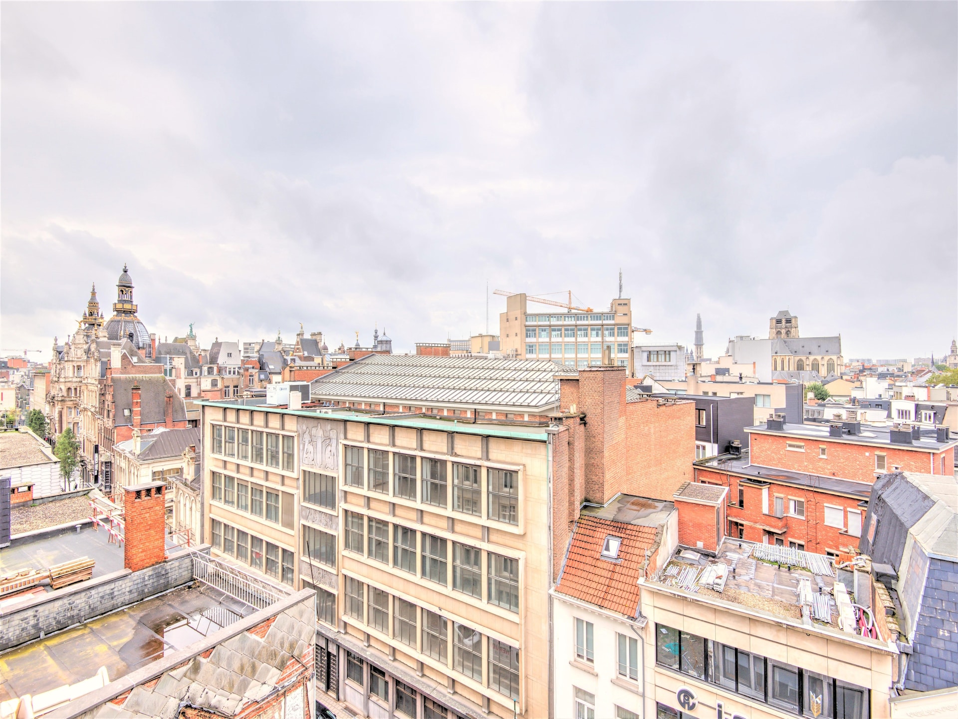 Stadsappartement in het groen: 79m² solo-verblijf nabij Antwerps centrum - foto 11