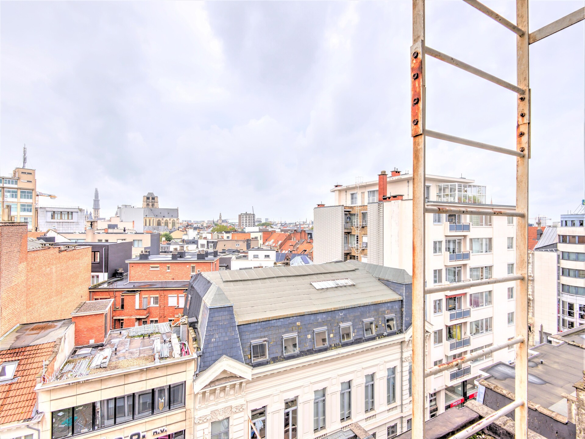 Stadsappartement in het groen: 79m² solo-verblijf nabij Antwerps centrum - foto 12