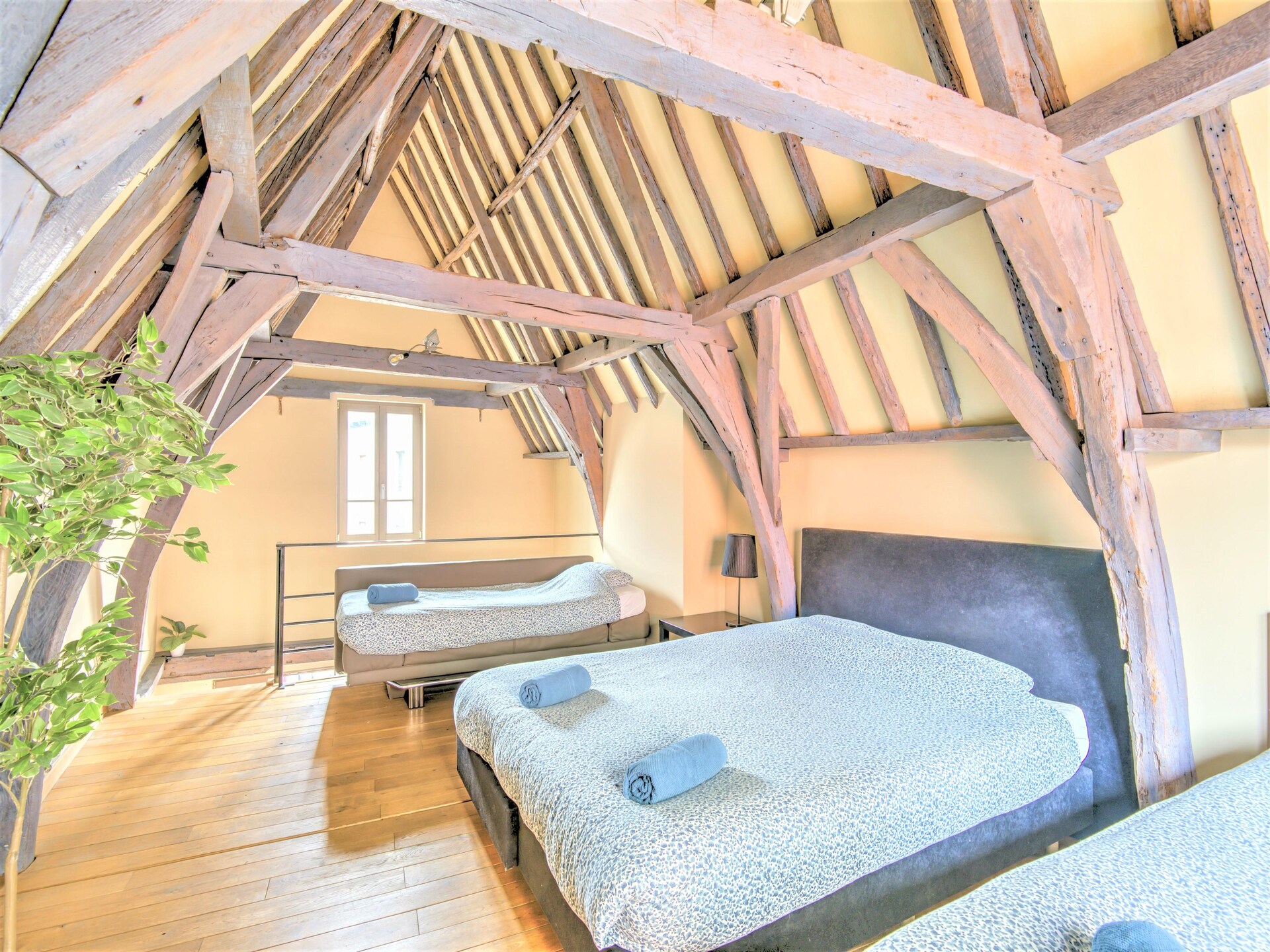 Ruim 90m² penthouse met stadszicht op Groenplaats, Antwerpen - foto 4