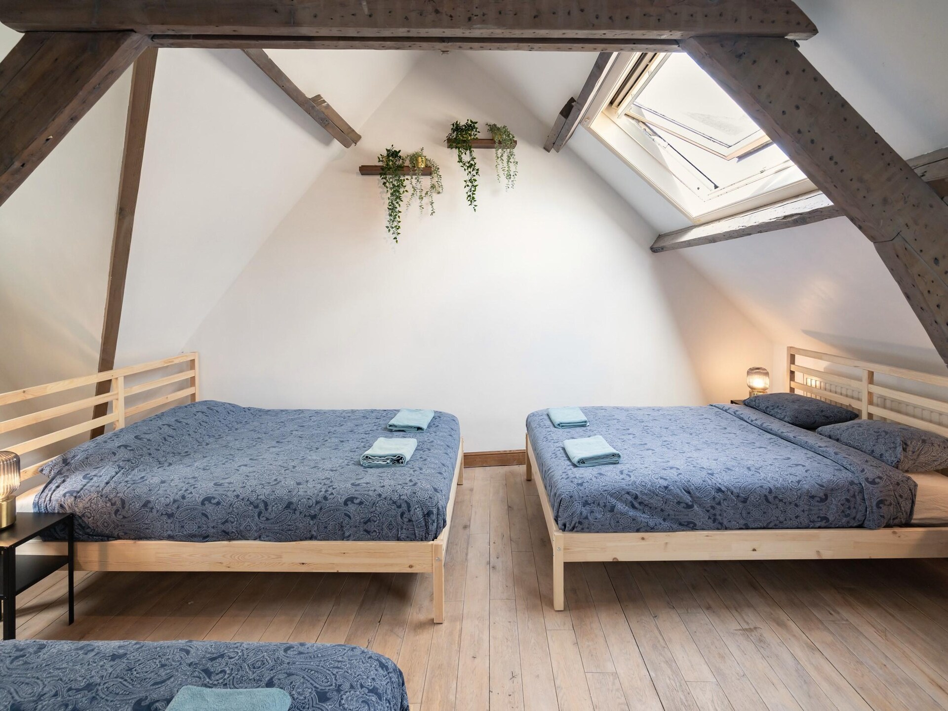 Triplex appartement voor 4 personen in historisch Antwerpen - foto 12