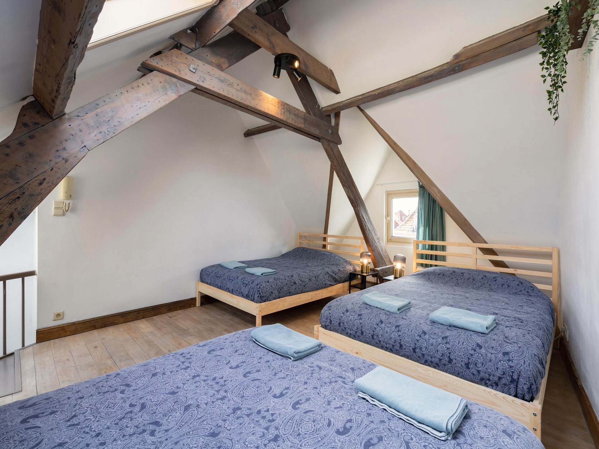 Triplex appartement voor 4 personen in historisch Antwerpen - foto 6
