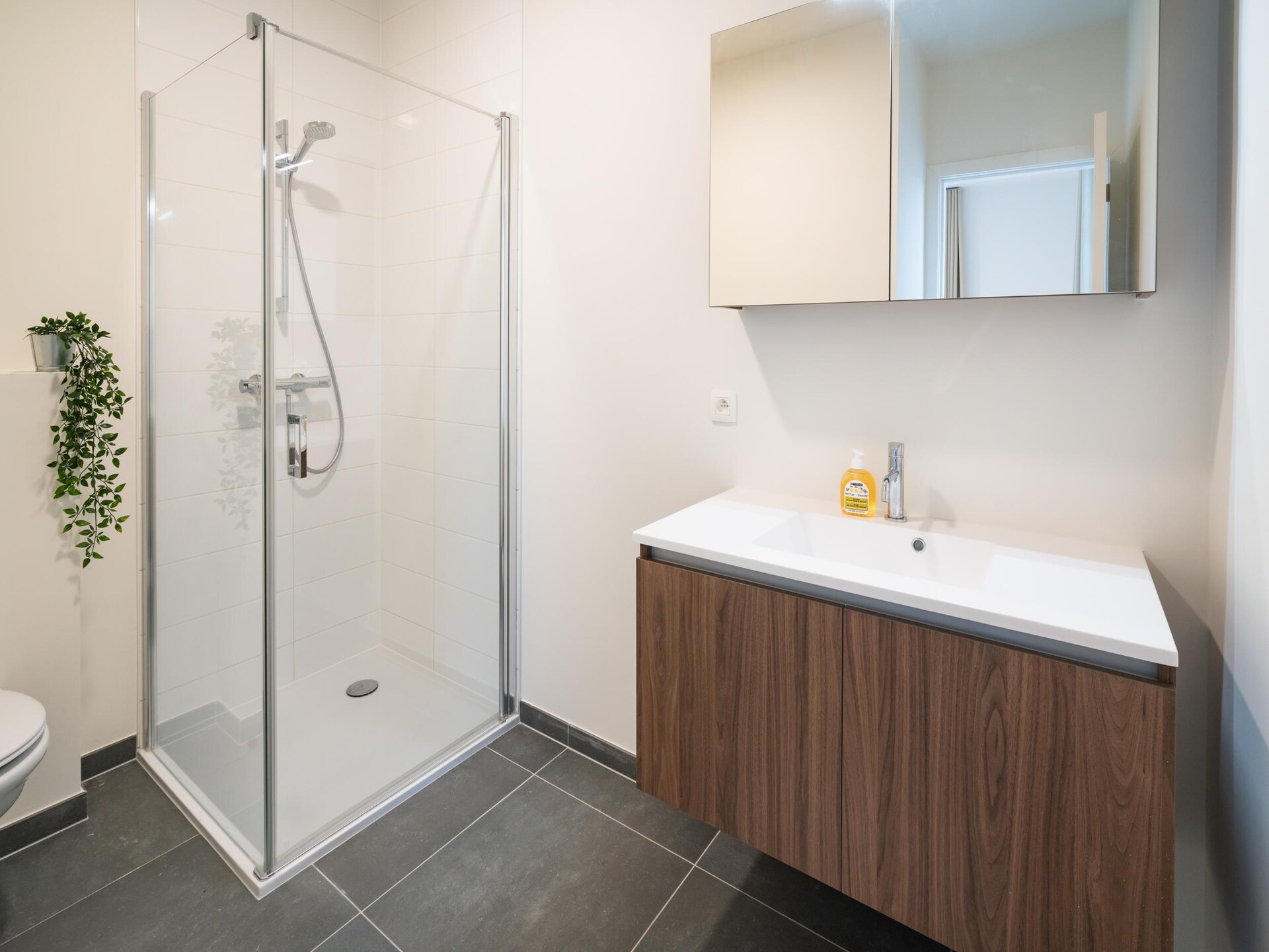 3-slaapkamer appartement met stadszicht in Antwerp (135 m², 1 pers.) - foto 17