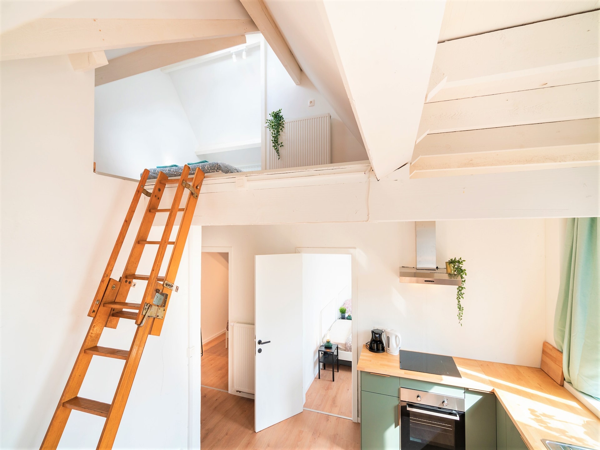 3-slaapkamer appartement (115m²) in hartje Antwerpen - foto 3