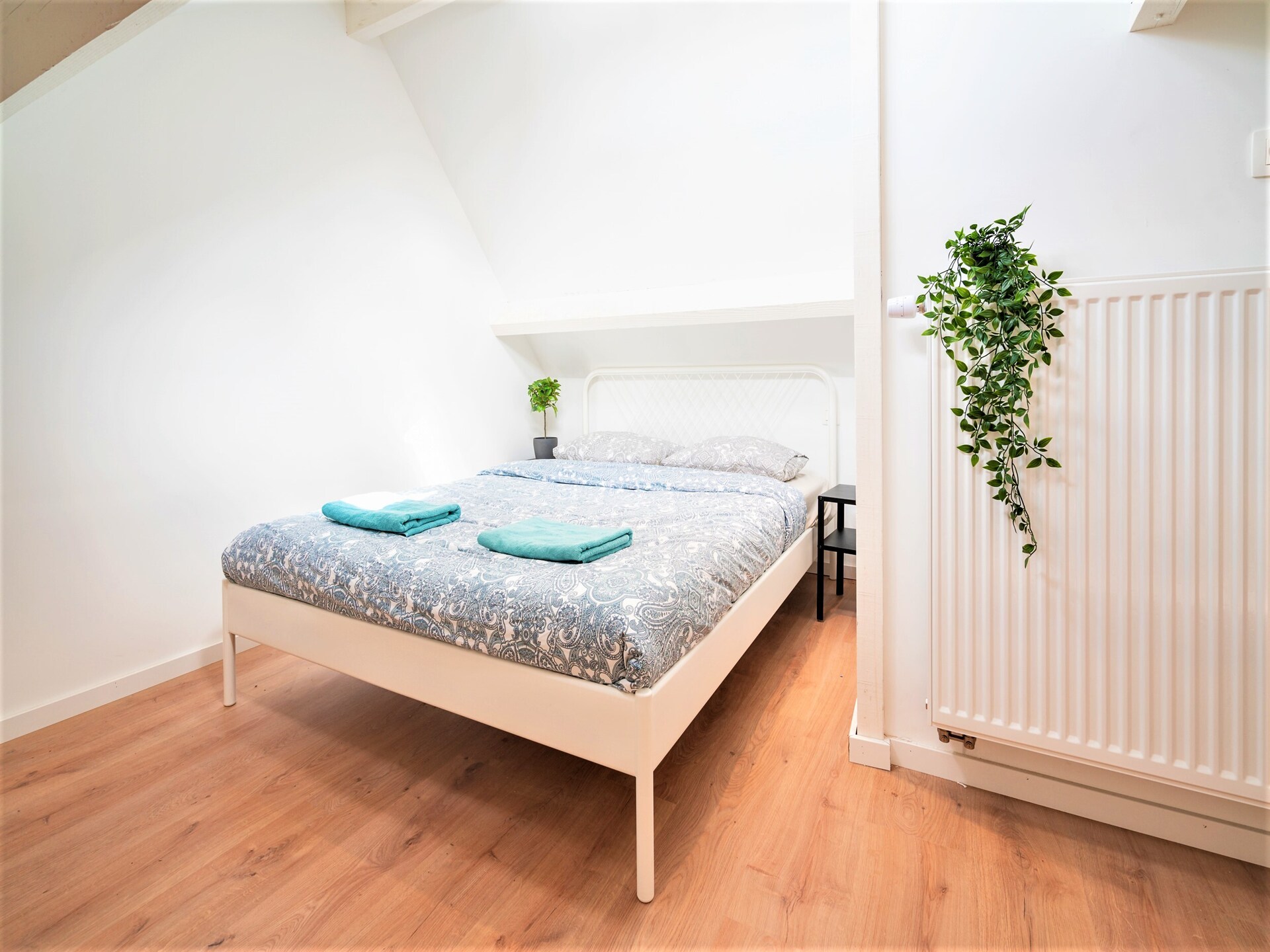 3-slaapkamer appartement (115m²) in hartje Antwerpen - foto 5