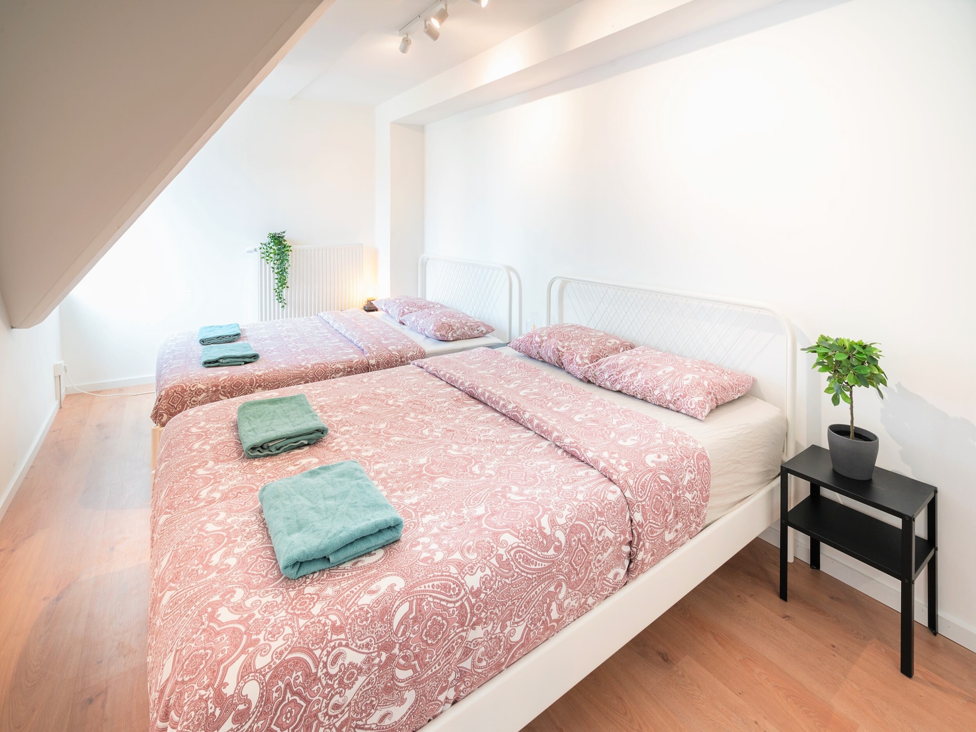 3-slaapkamer appartement (115m²) in hartje Antwerpen - foto 9