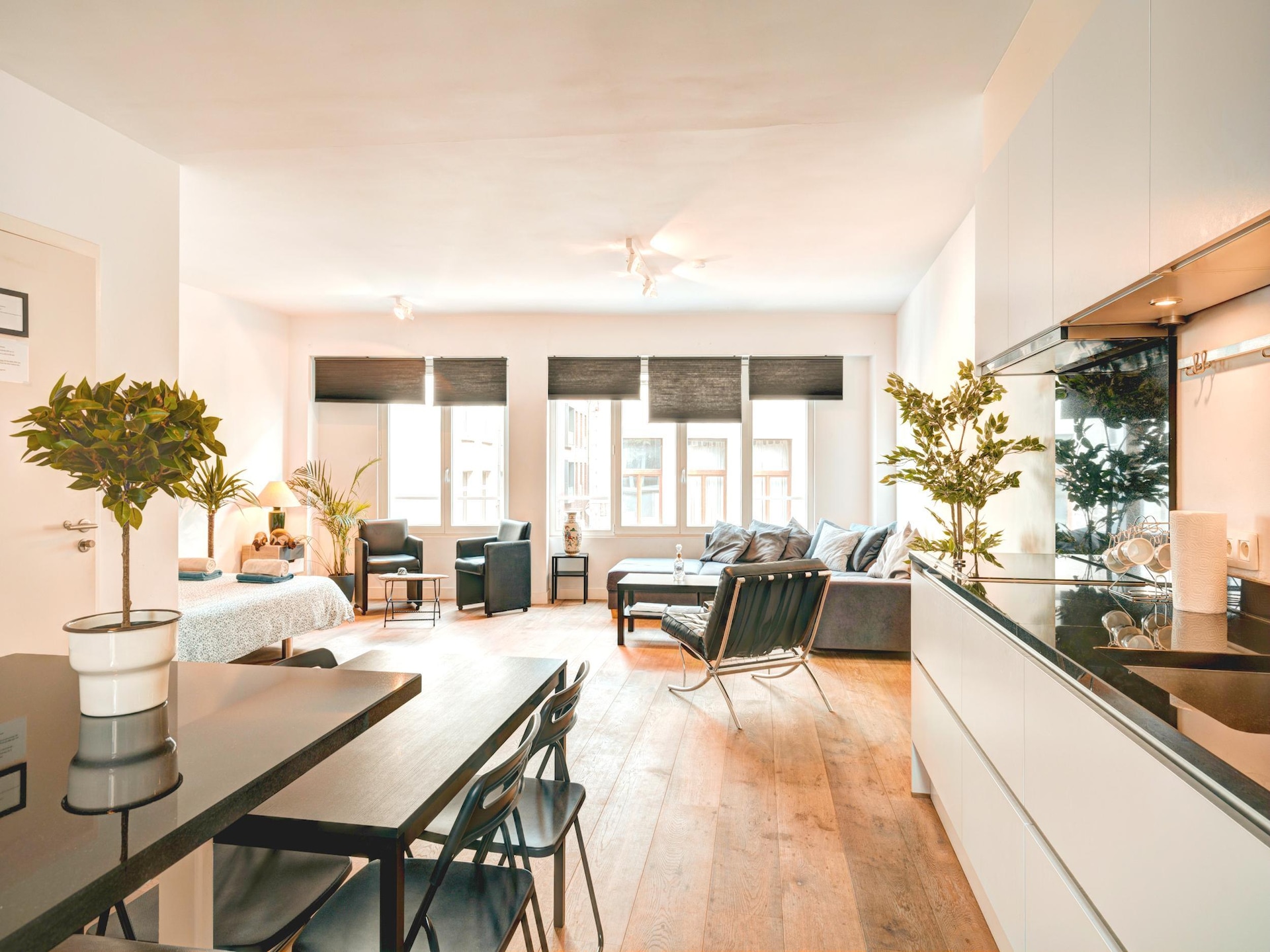 Karaktervol appartement in historisch herenhuis in Antwerpen Centrum - foto 1