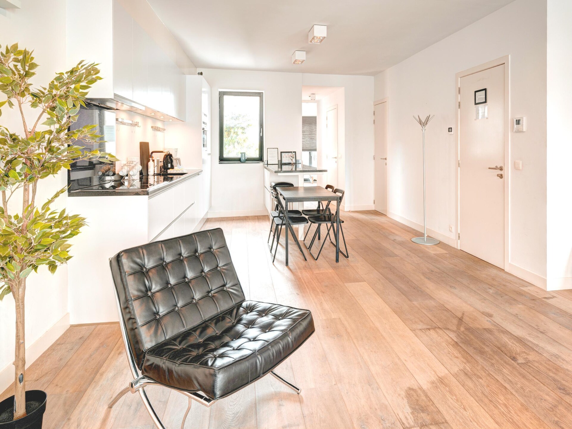 Karaktervol appartement in historisch herenhuis in Antwerpen Centrum - foto 3