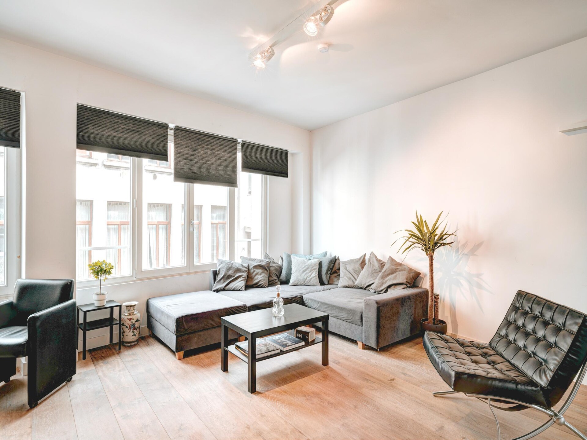 Karaktervol appartement in historisch herenhuis in Antwerpen Centrum - foto 2