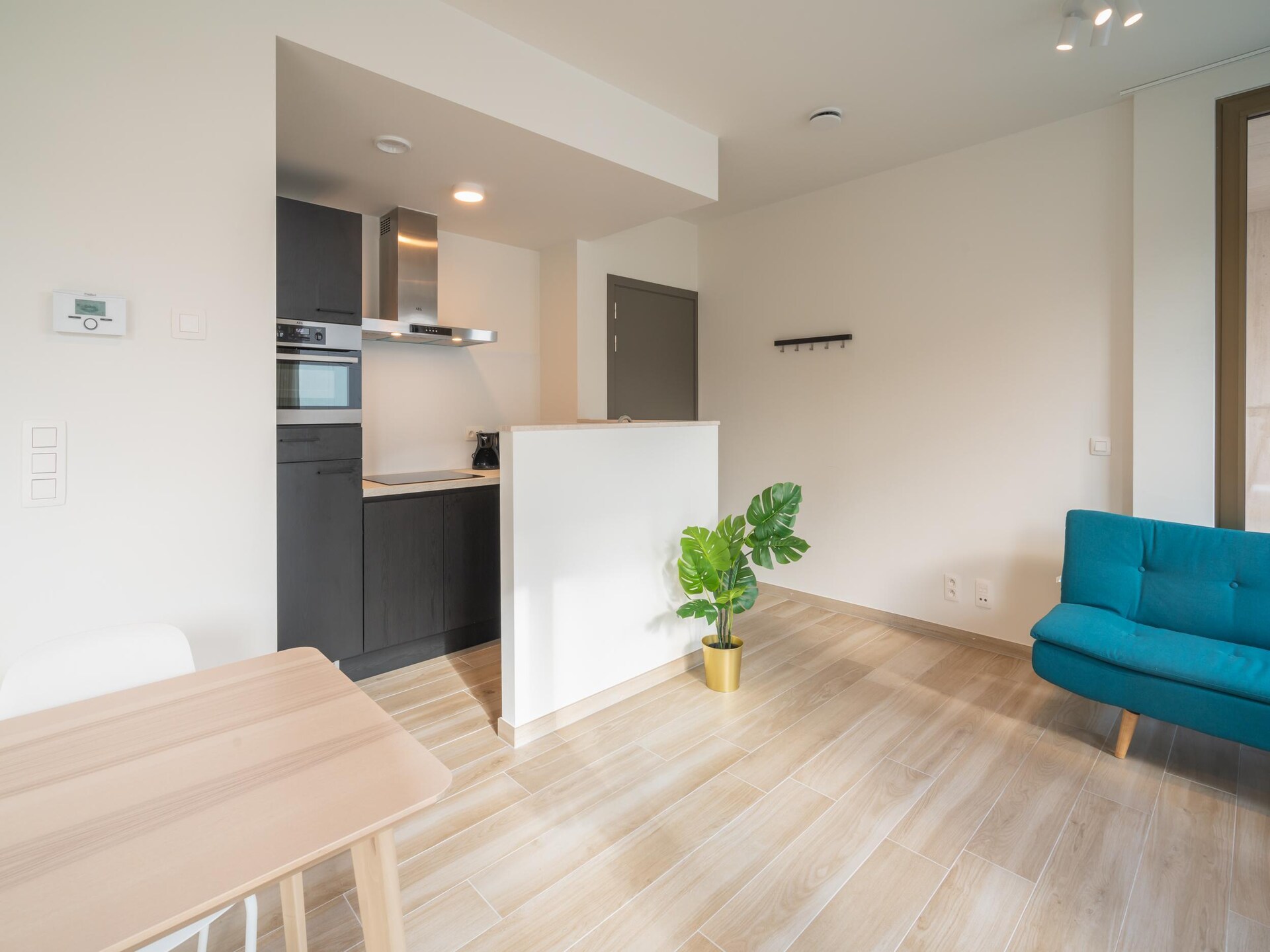 55 m² appartement voor 1 persoon in hartje Antwerpen - foto 7