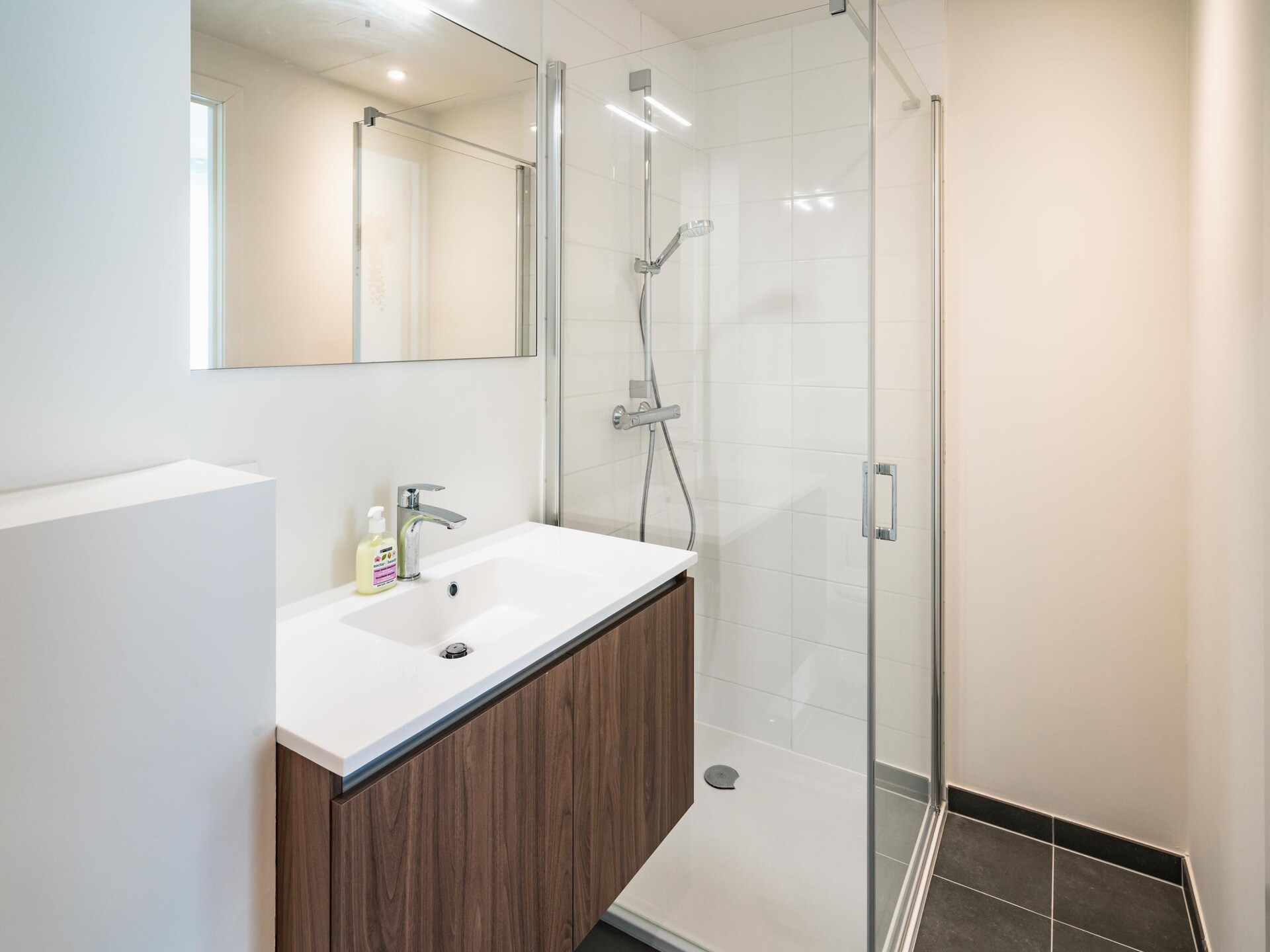 55 m² appartement voor 1 persoon in hartje Antwerpen - foto 11