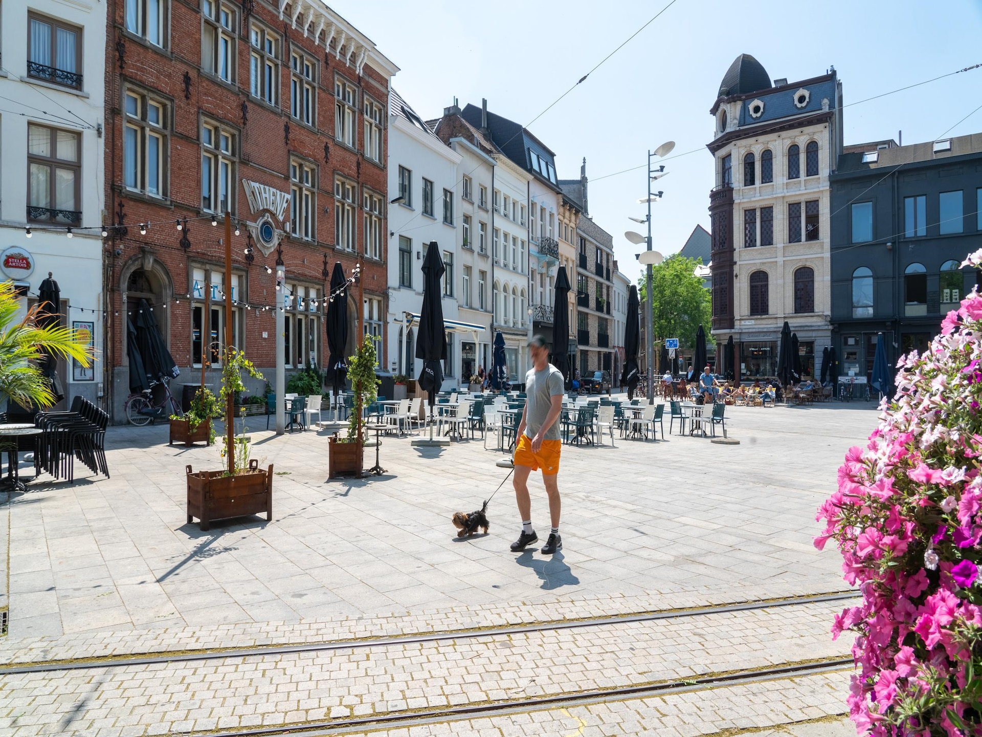50m² appartement voor 1 persoon bij Sint-Paulus in Antwerpen - foto 11