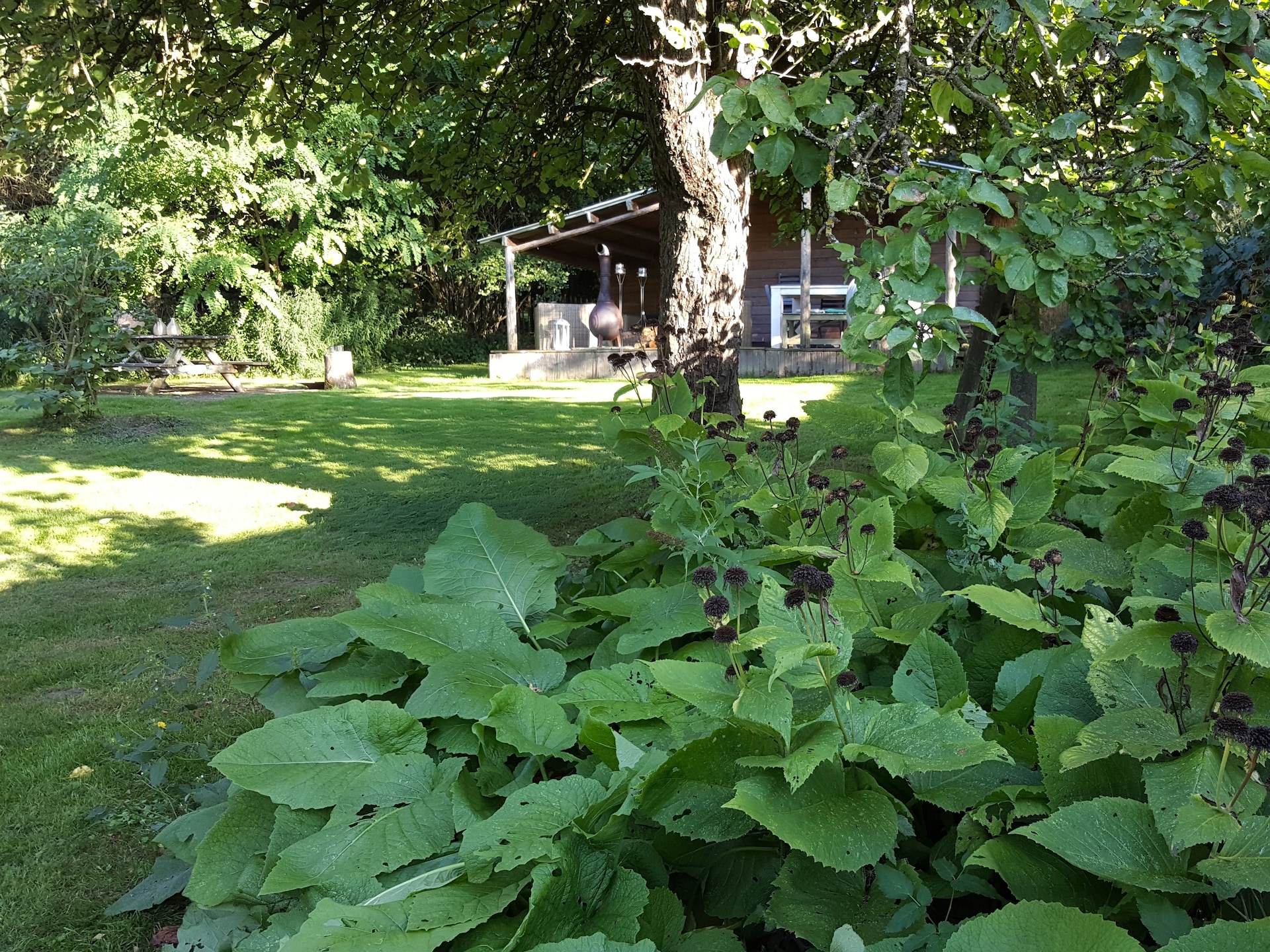 Ruim vakantiehuis voor 6 personen met 4 slaapkamers aan de golfbaan in Weris - foto 34