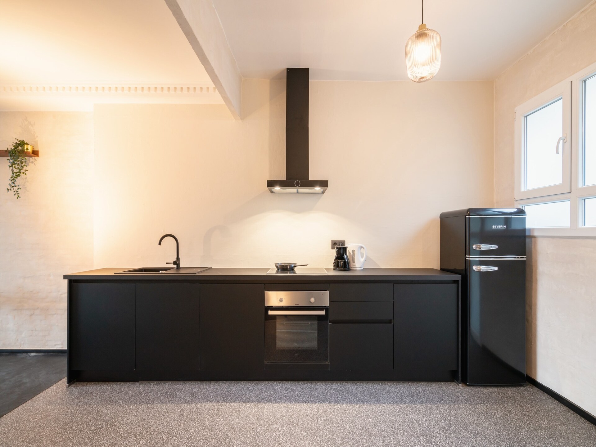 Bosrijk appartement voor 1 persoon in Antwerpen, 115 m² - foto 6