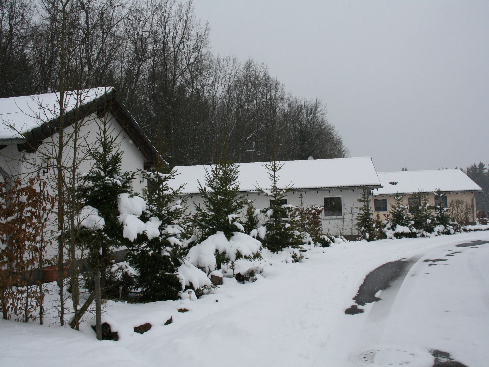 Vrijstaande bungalow in de Eifel met tuin en bosrand, huisdier welkom - foto 38
