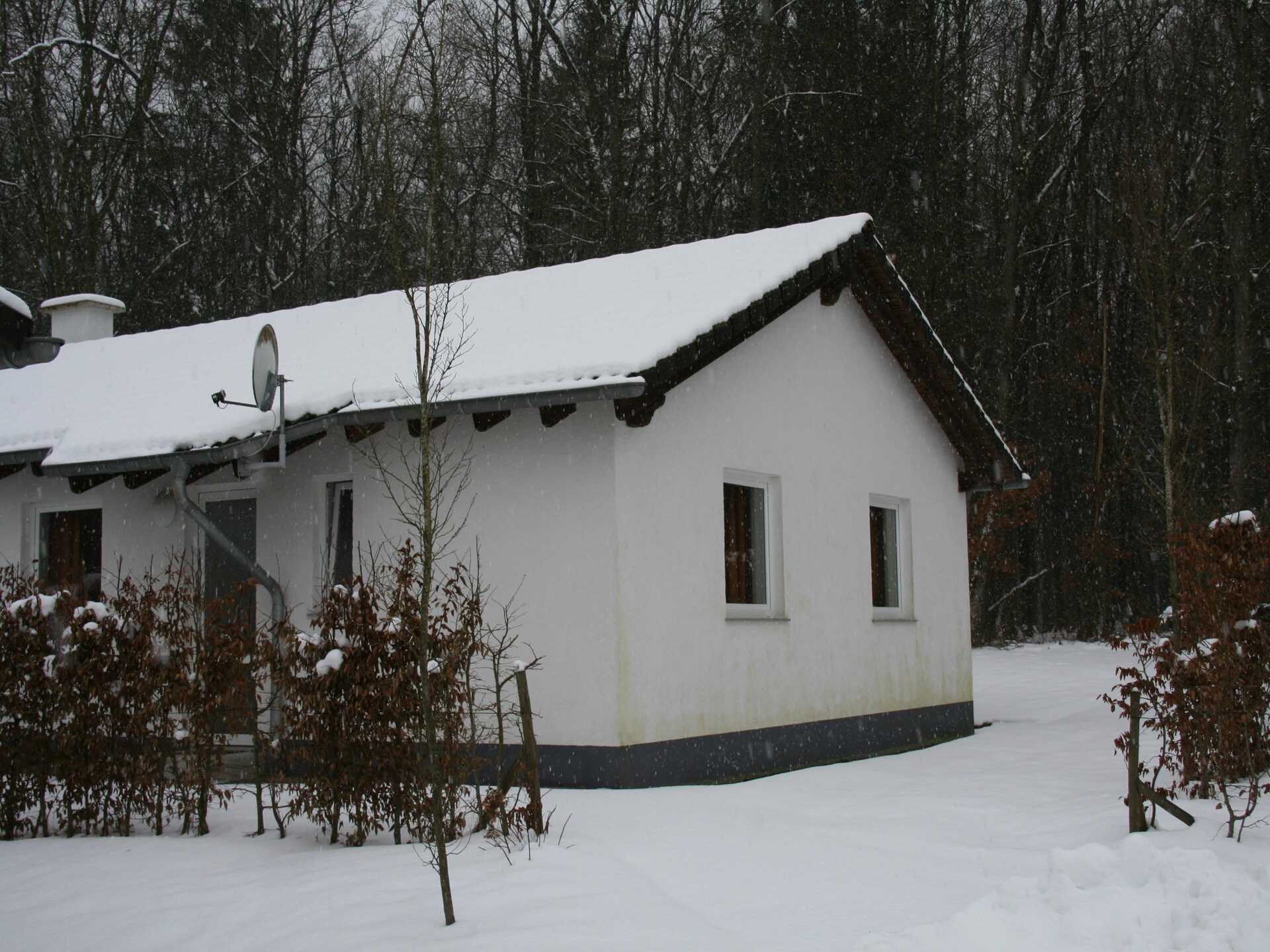 Vrijstaande bungalow in de Eifel met tuin en bosrand, huisdier welkom - foto 37