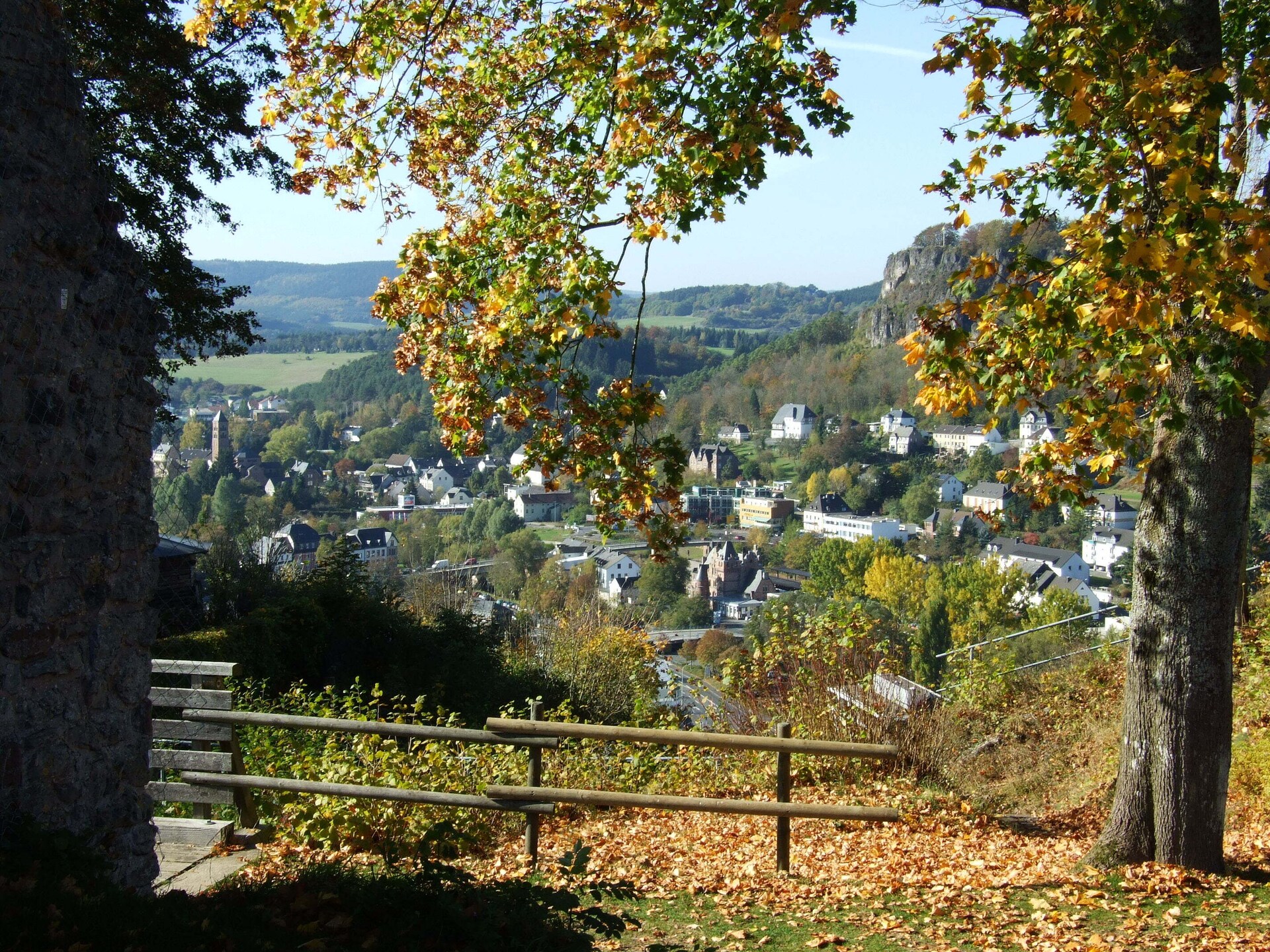 Vrijstaande bungalow in de Eifel met tuin en bosrand, huisdier welkom - foto 31