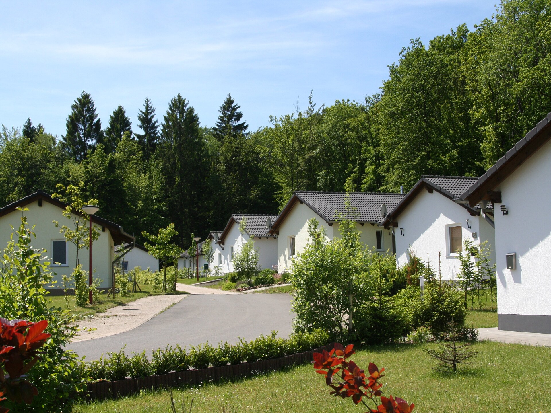 Vrijstaande 6-persoons bungalow met tuin in vakantiepark Hinterhausen bij Gerolstein - foto 6