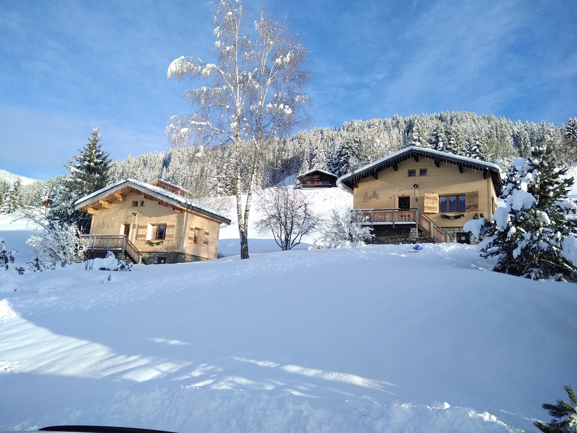 Authentiek chalet voor 5 personen aan de bosrand bij Notre Dame de Bellecombe - foto 7