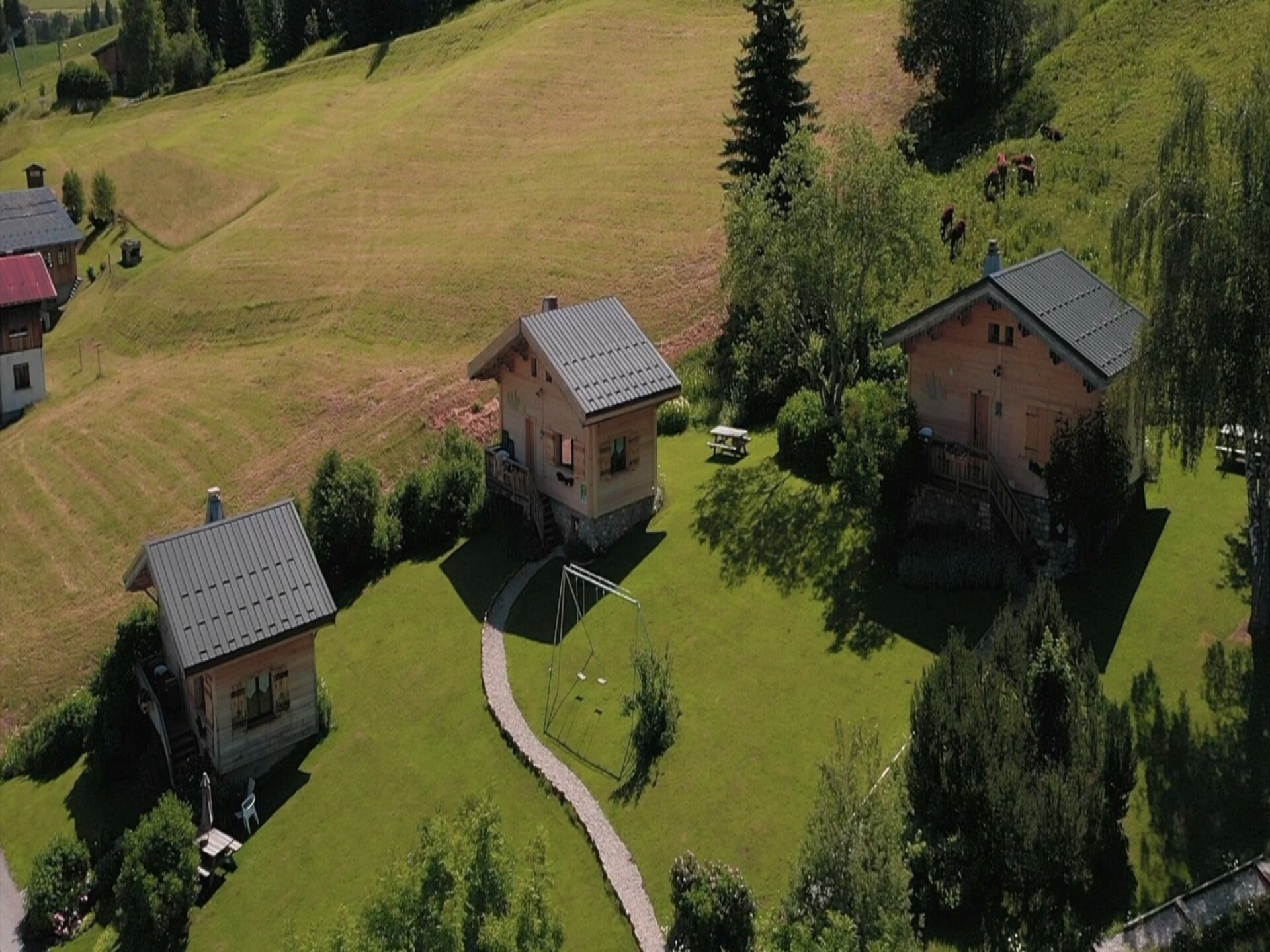 Authentiek chalet voor 5 personen aan de bosrand bij Notre Dame de Bellecombe - foto 3