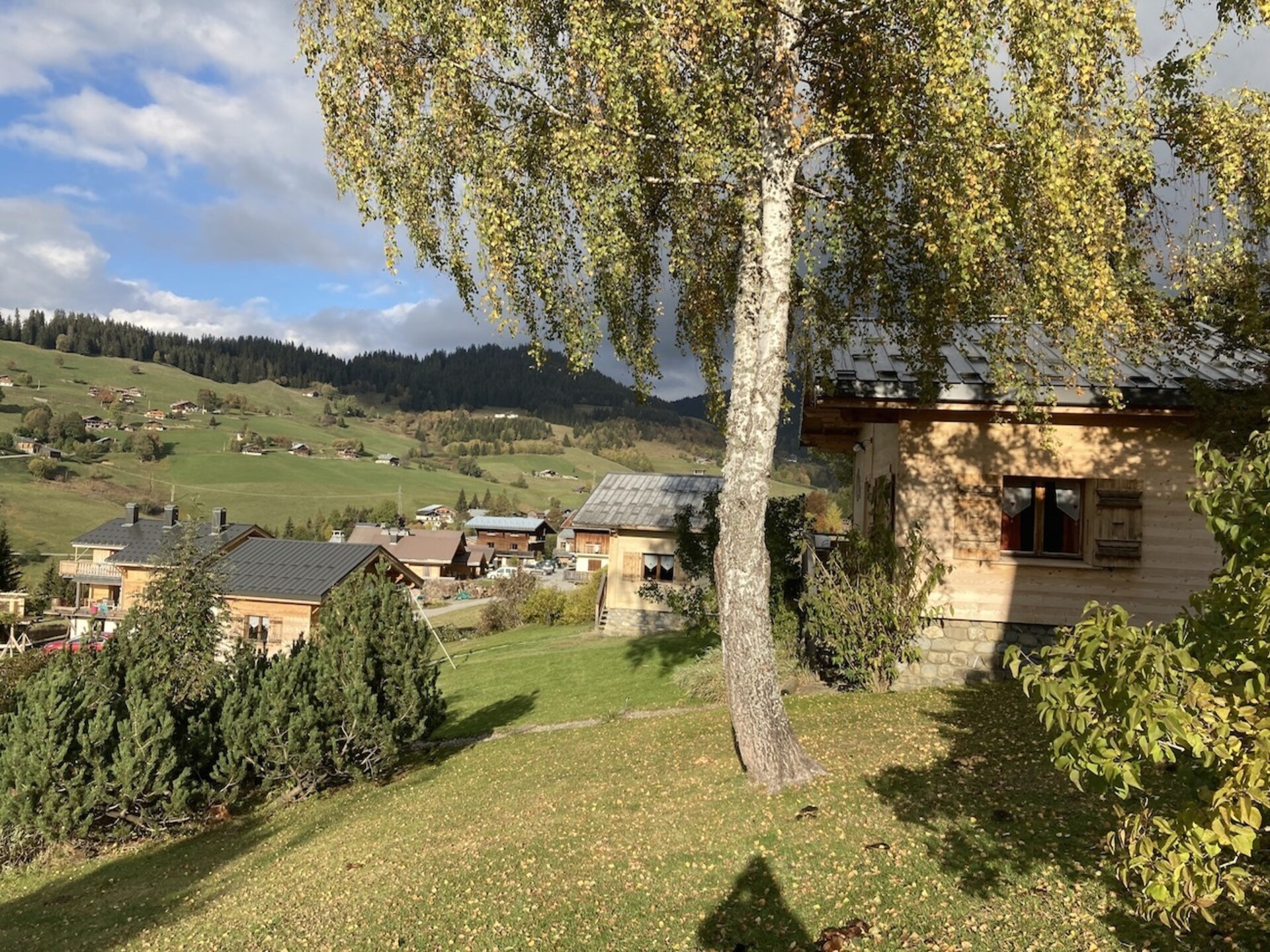 Authentiek chalet voor 5 personen aan de bosrand bij Notre Dame de Bellecombe - foto 5