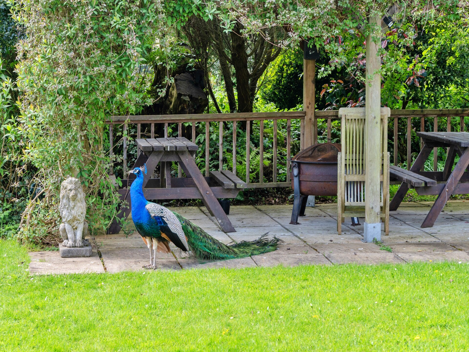 Trimstone Manor - Mill Cottage - foto 24