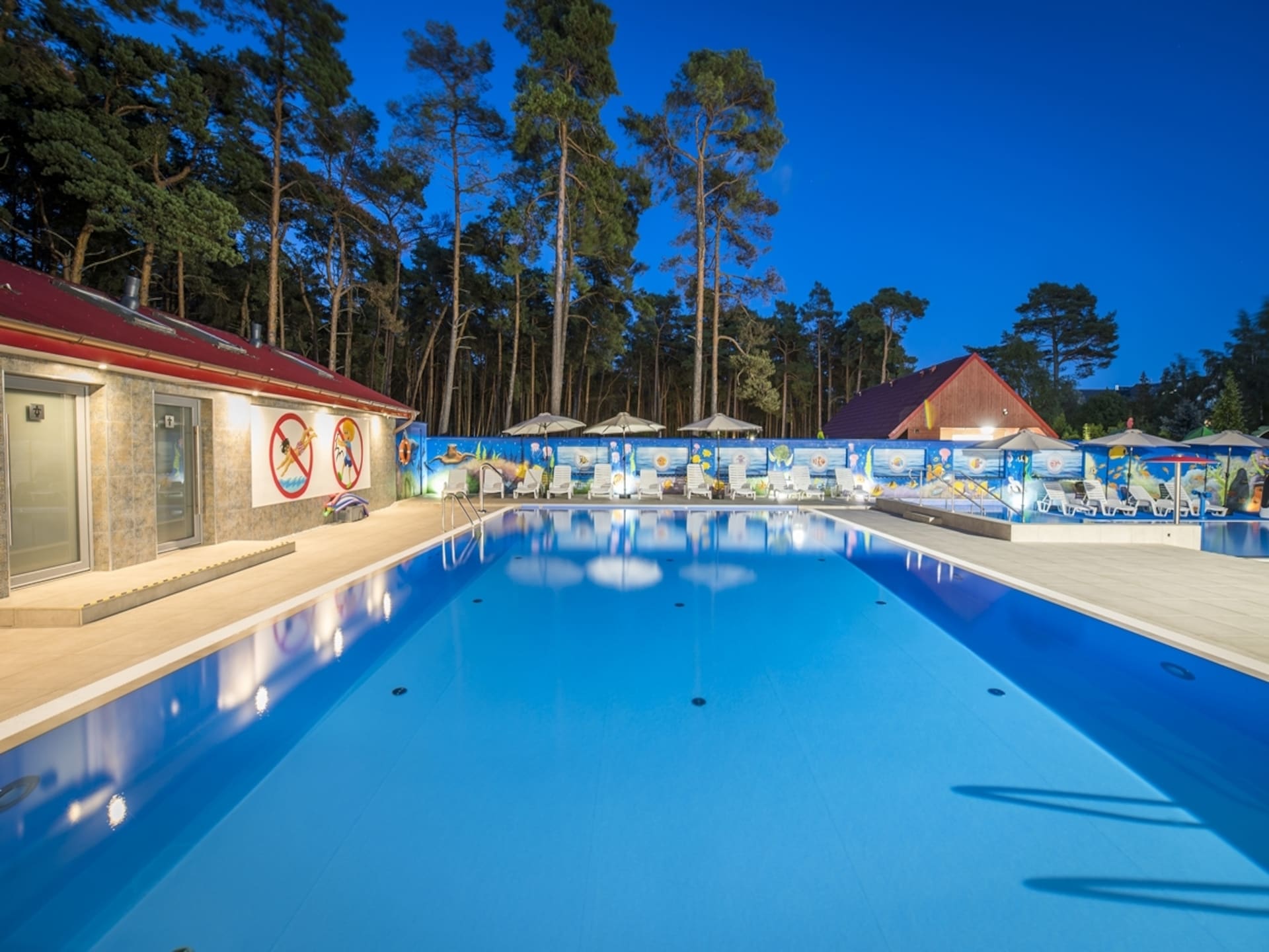 4-persoons vakantiehuis met wellness in Leba - foto 27
