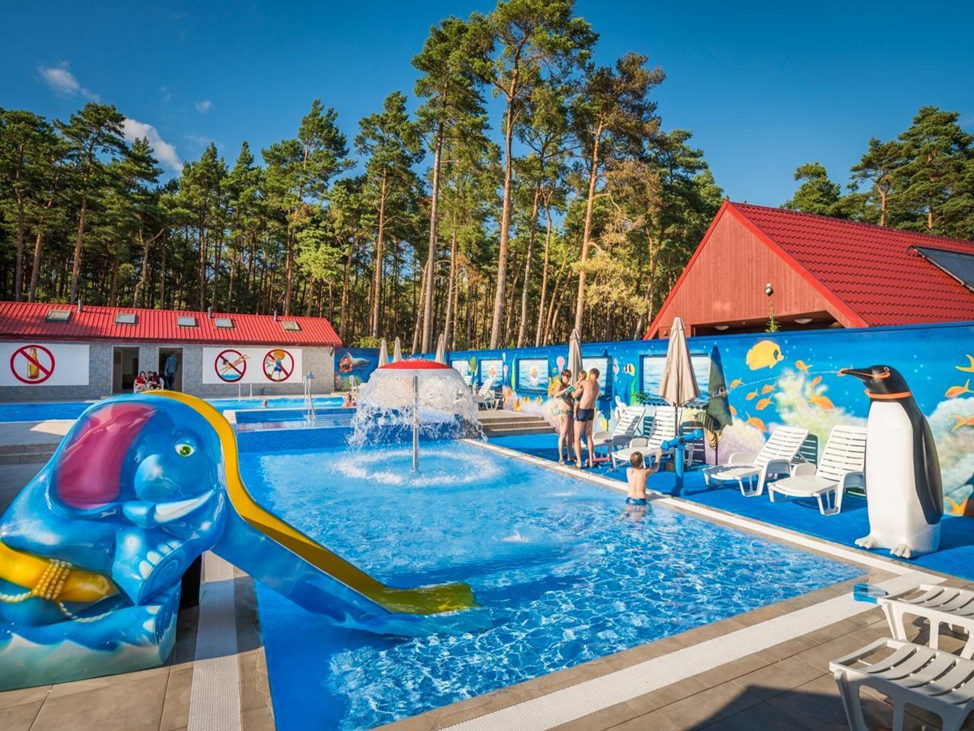 Bosvilla voor 5 bij privéstrand in Leba met zwembad en spa - foto 19