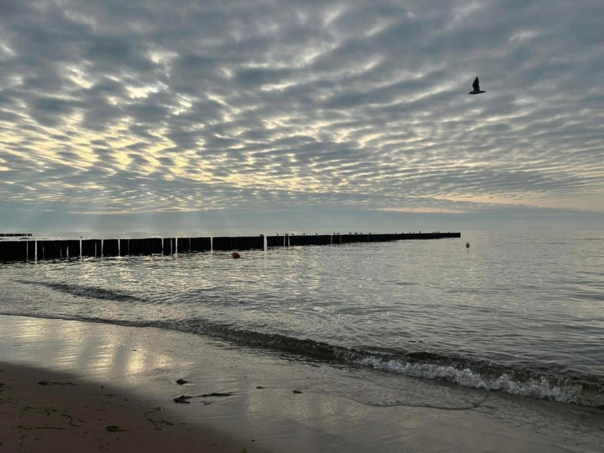 Bosvakantiehuis voor 5 bij het strand van Pobierowo op 300 meter - foto 24